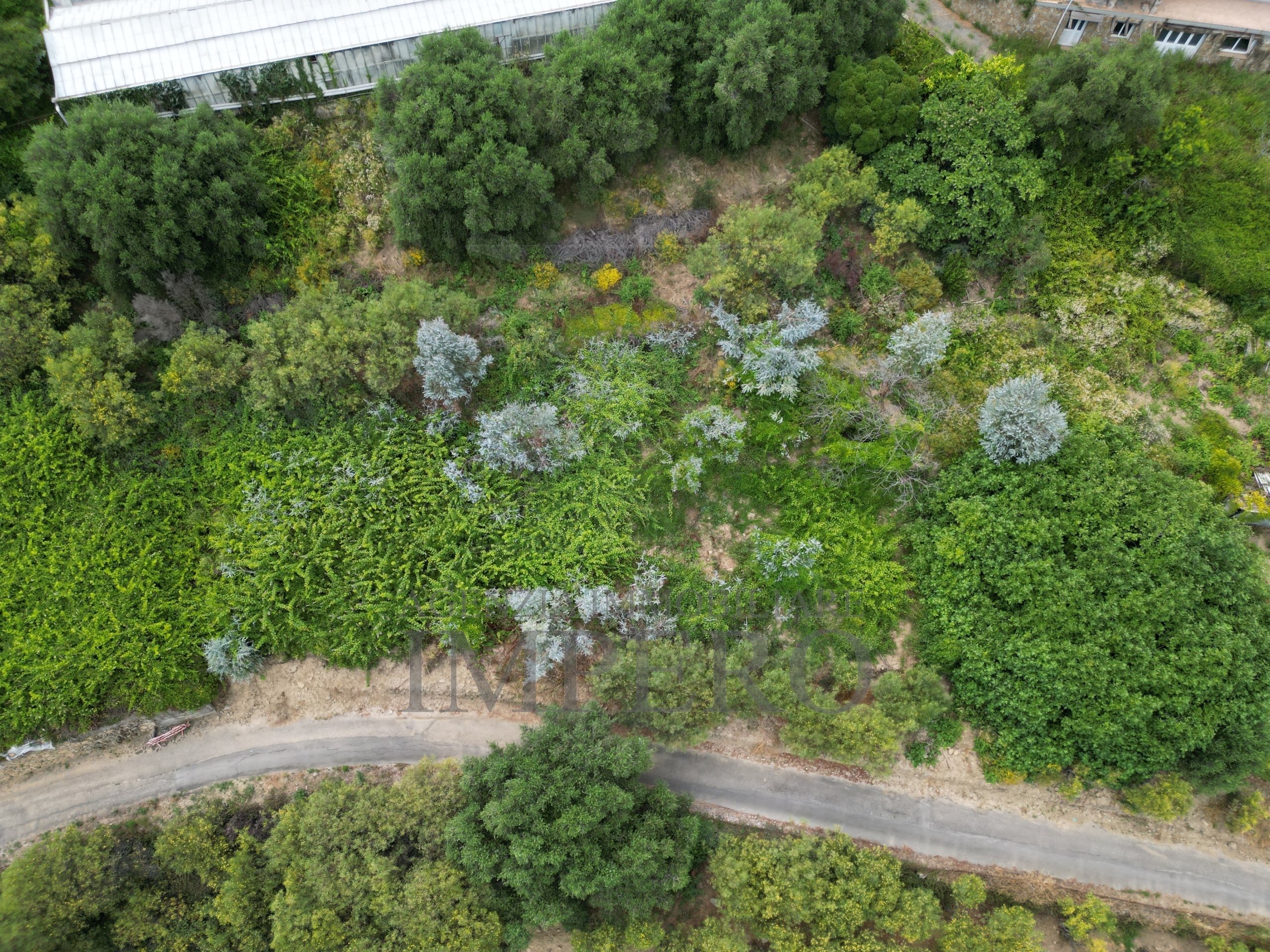 Terreno Agricolo in vendita in via delle otto case 1, Ventimiglia