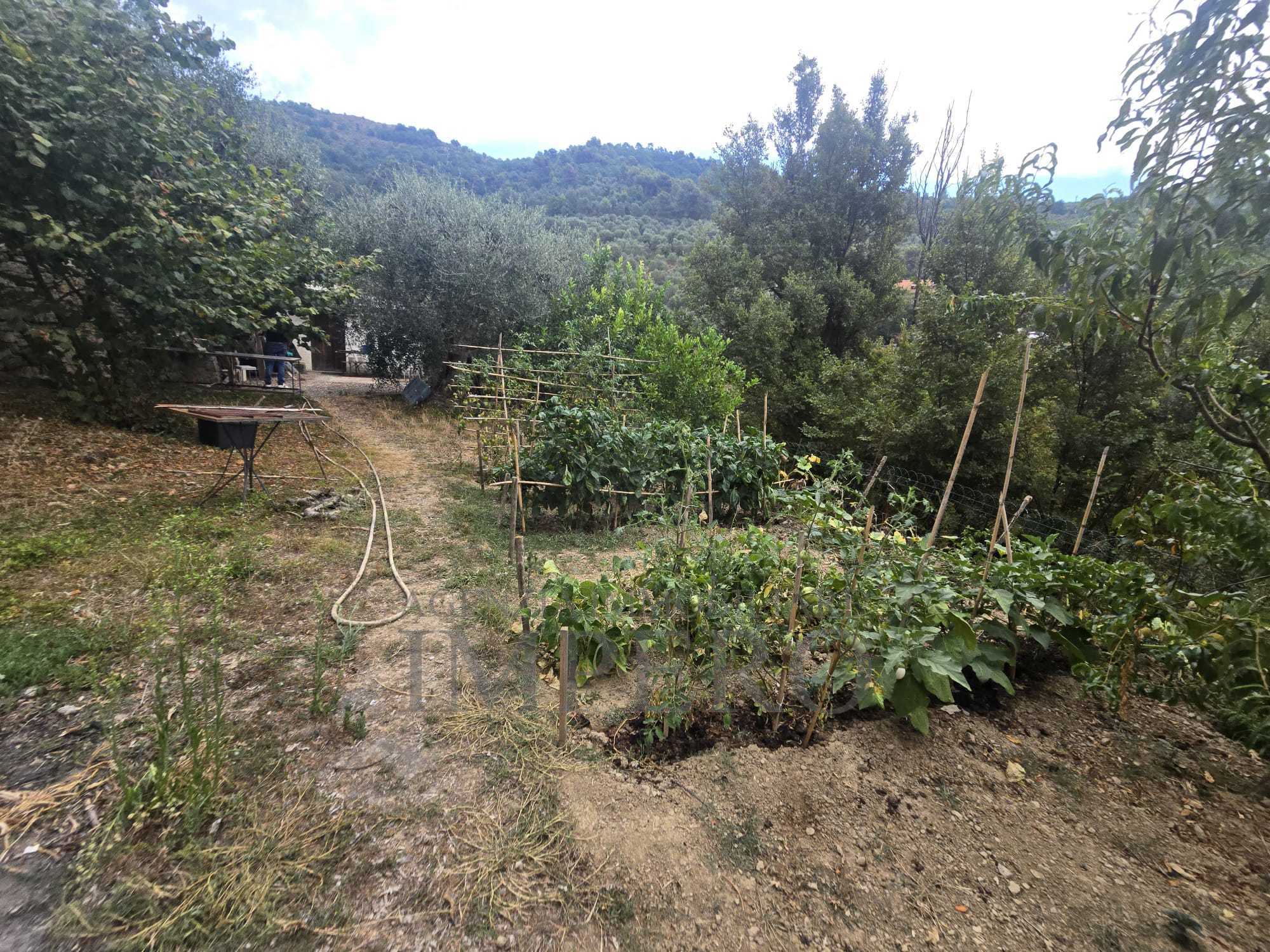 Rustico in vendita in san gregorio, Dolceacqua