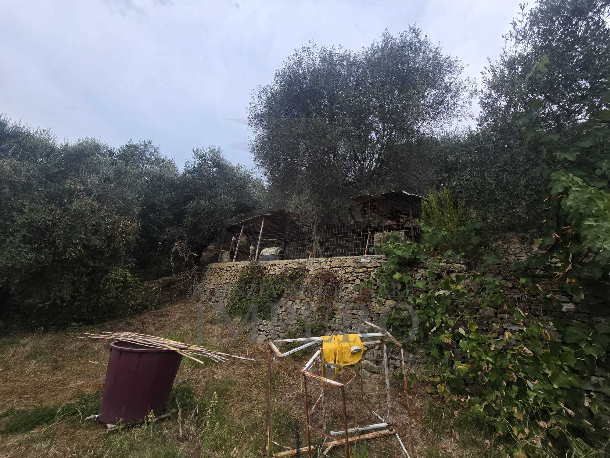 immagine annuncio 2 di 6