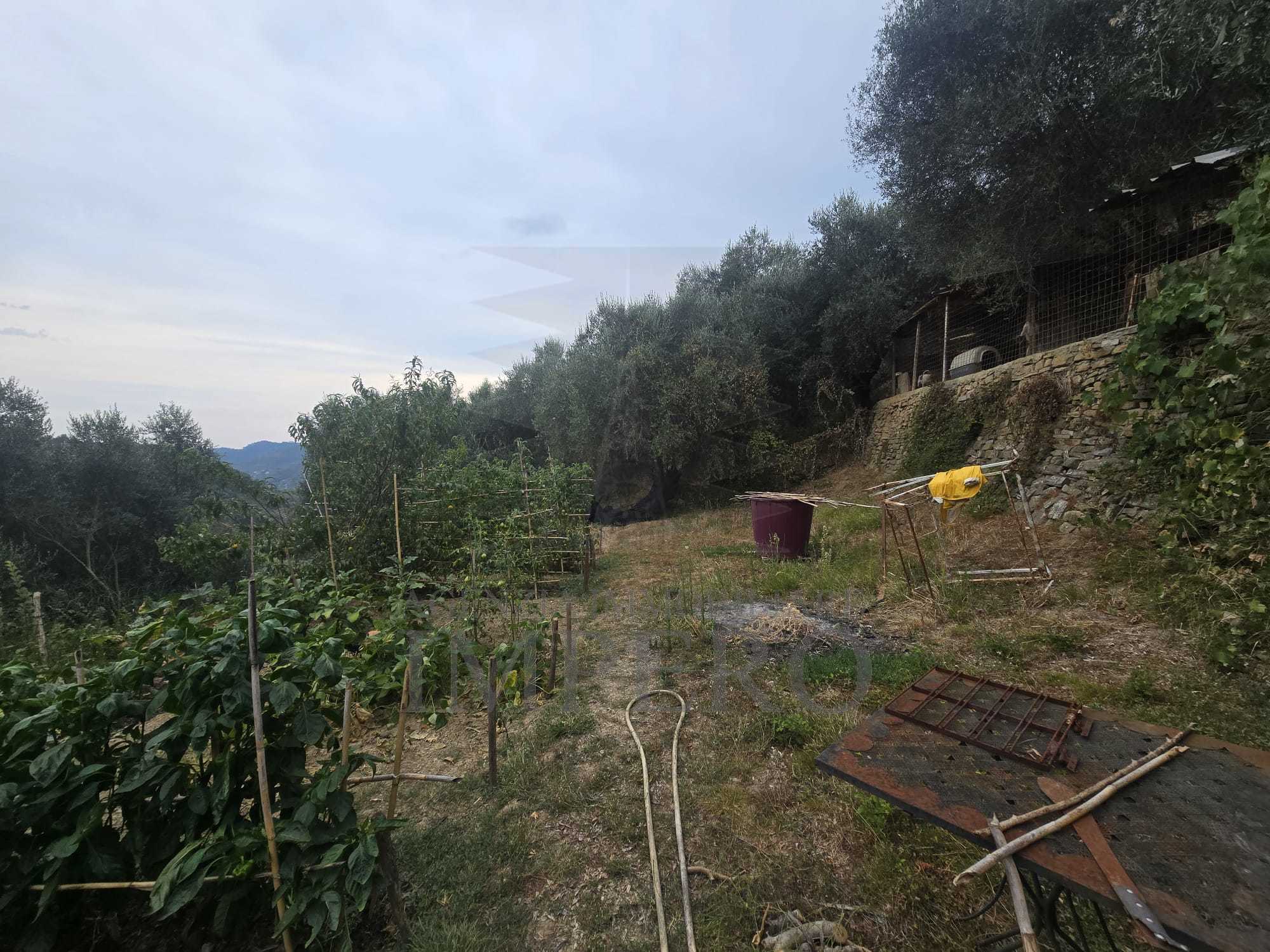 immagine annuncio 4 di 6