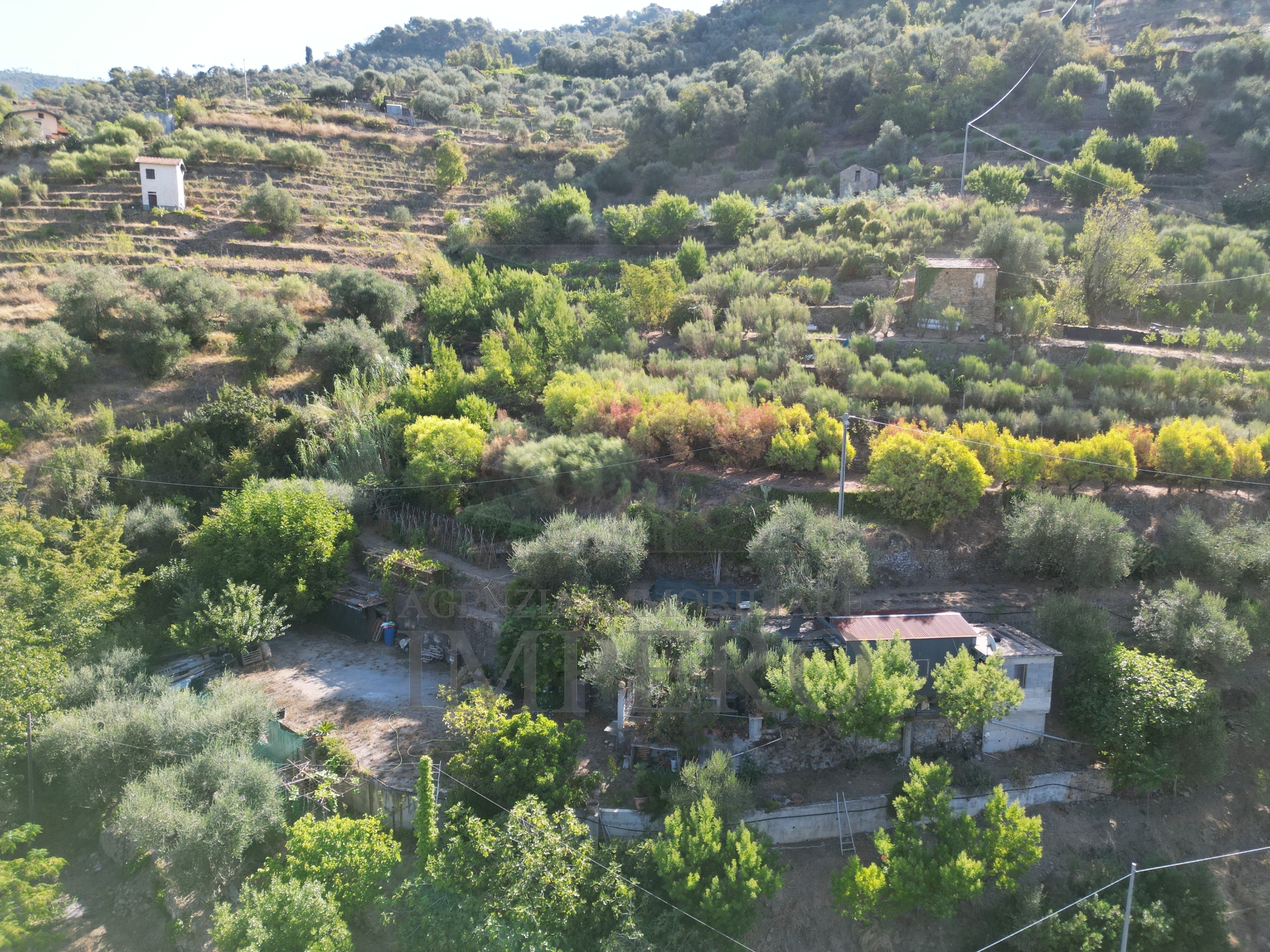 Terreno Agricolo in vendita in via provinciale 44, San Biagio della Cima