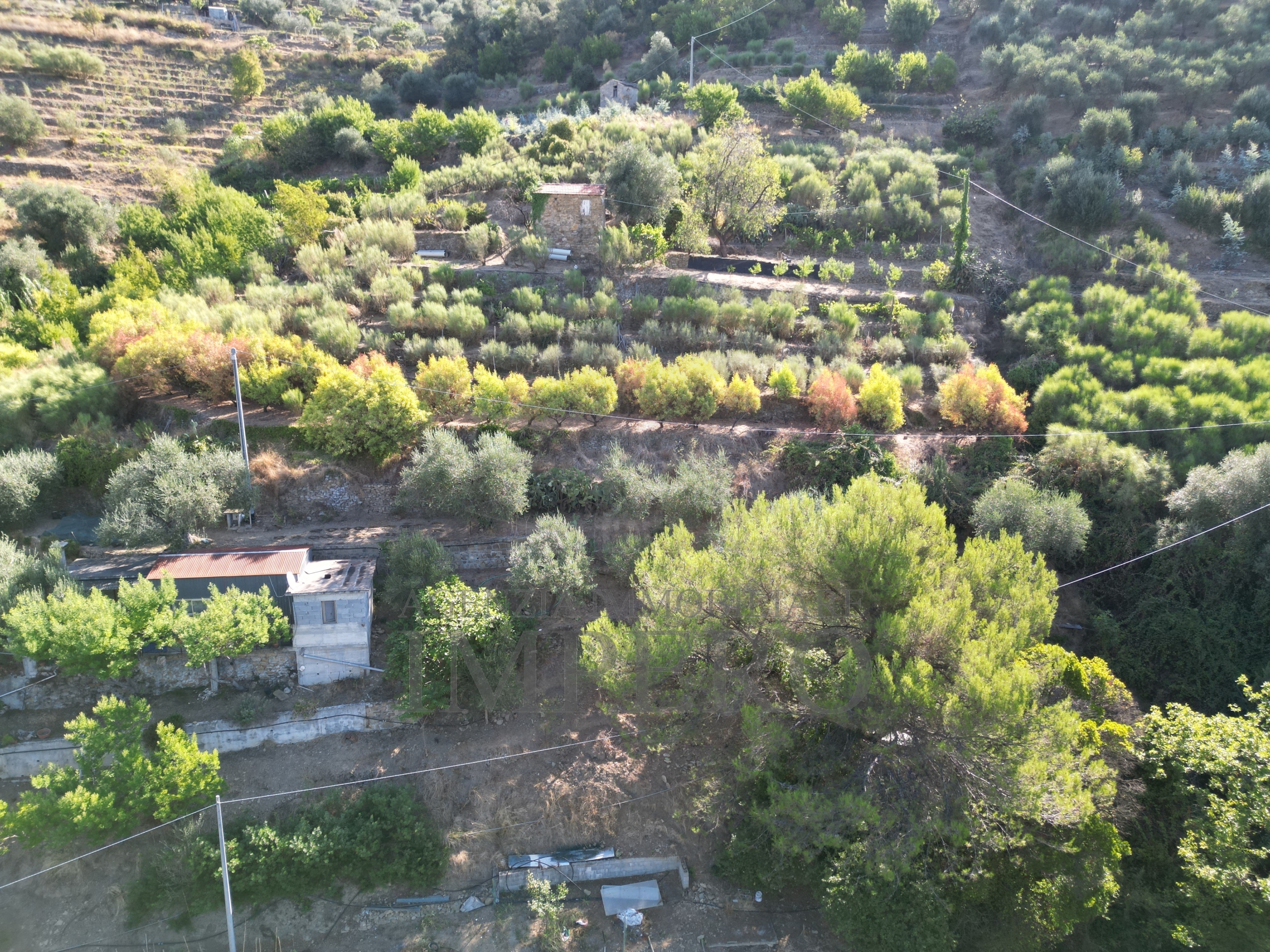 Terreno Agricolo in vendita in via provinciale 44, San Biagio della Cima