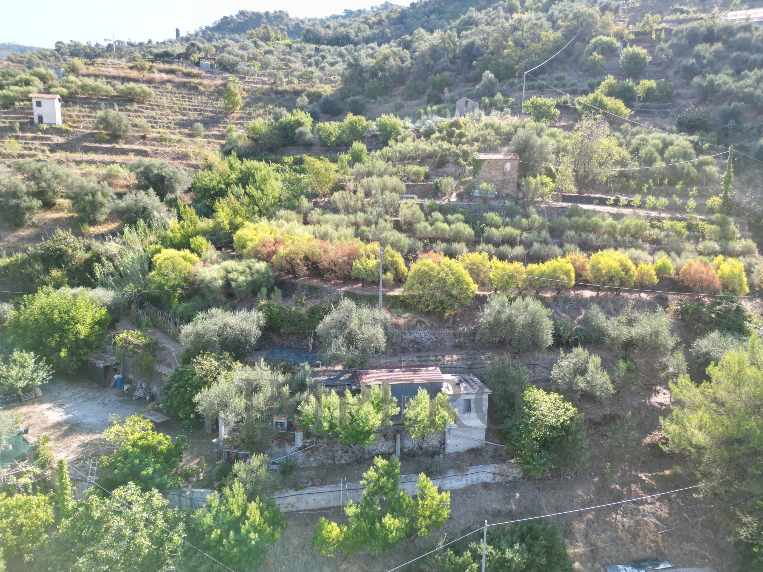 Terreno Agricolo in vendita in via provinciale 44, San Biagio della Cima