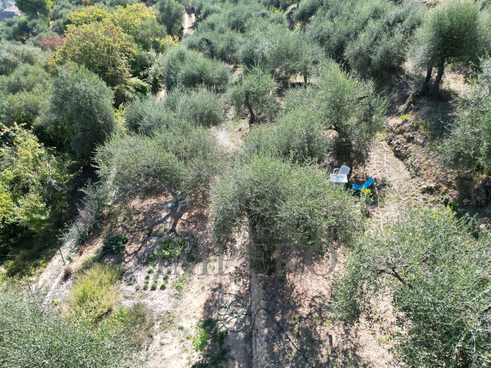 Terreno Agricolo in vendita in via monsignore daffra 40, Ventimiglia
