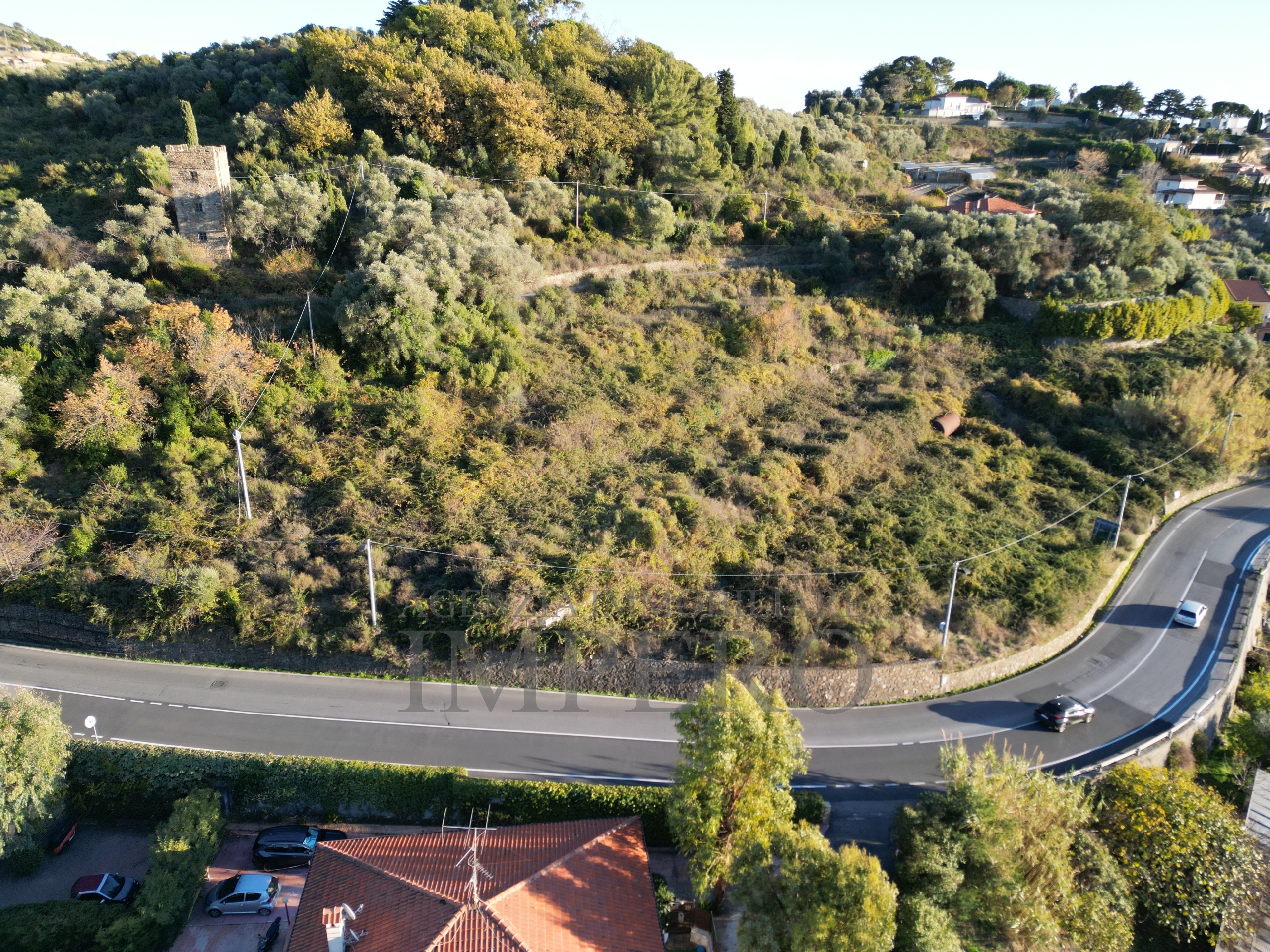 immagine annuncio 2 di 6