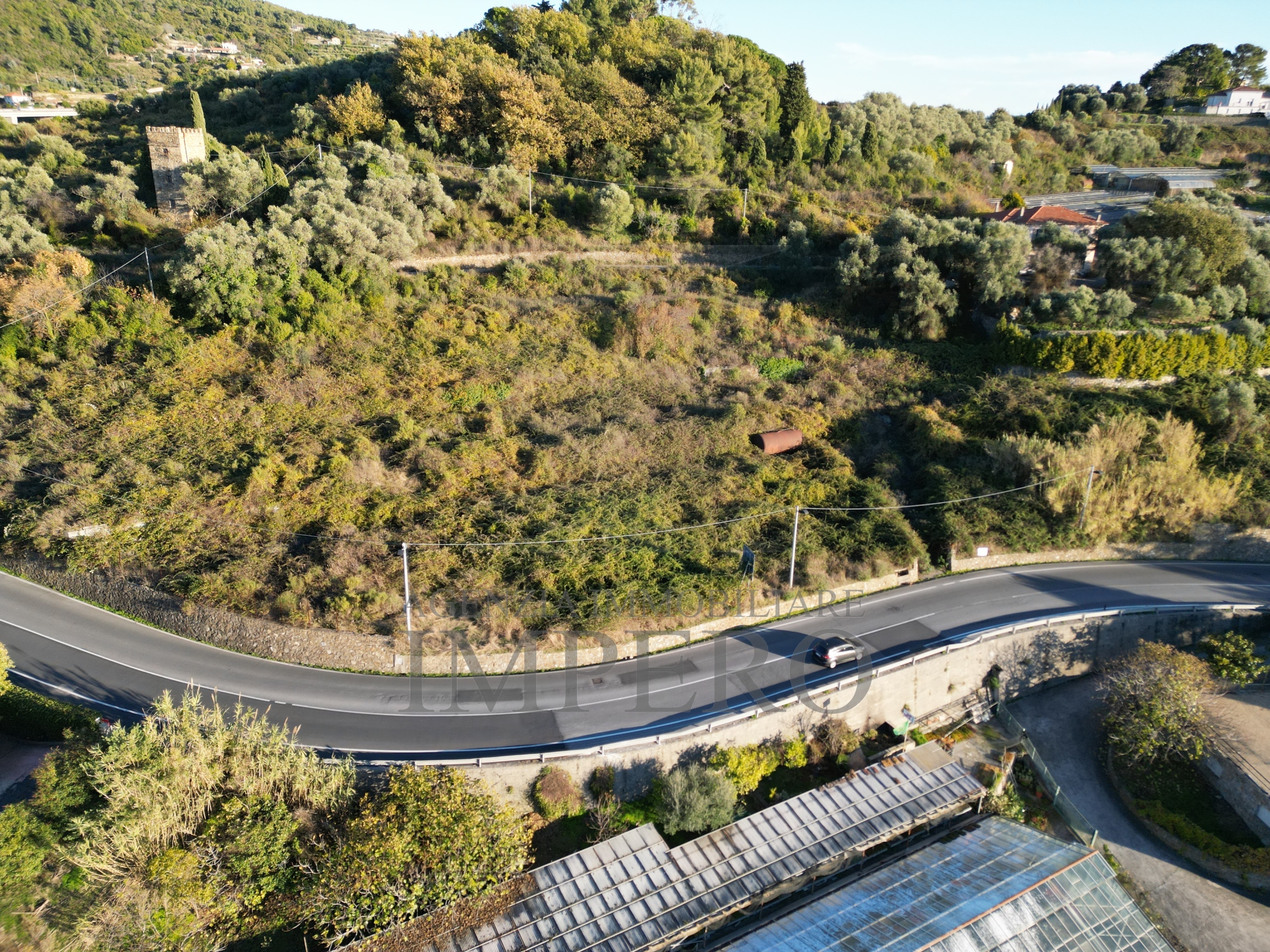 immagine annuncio 3 di 6