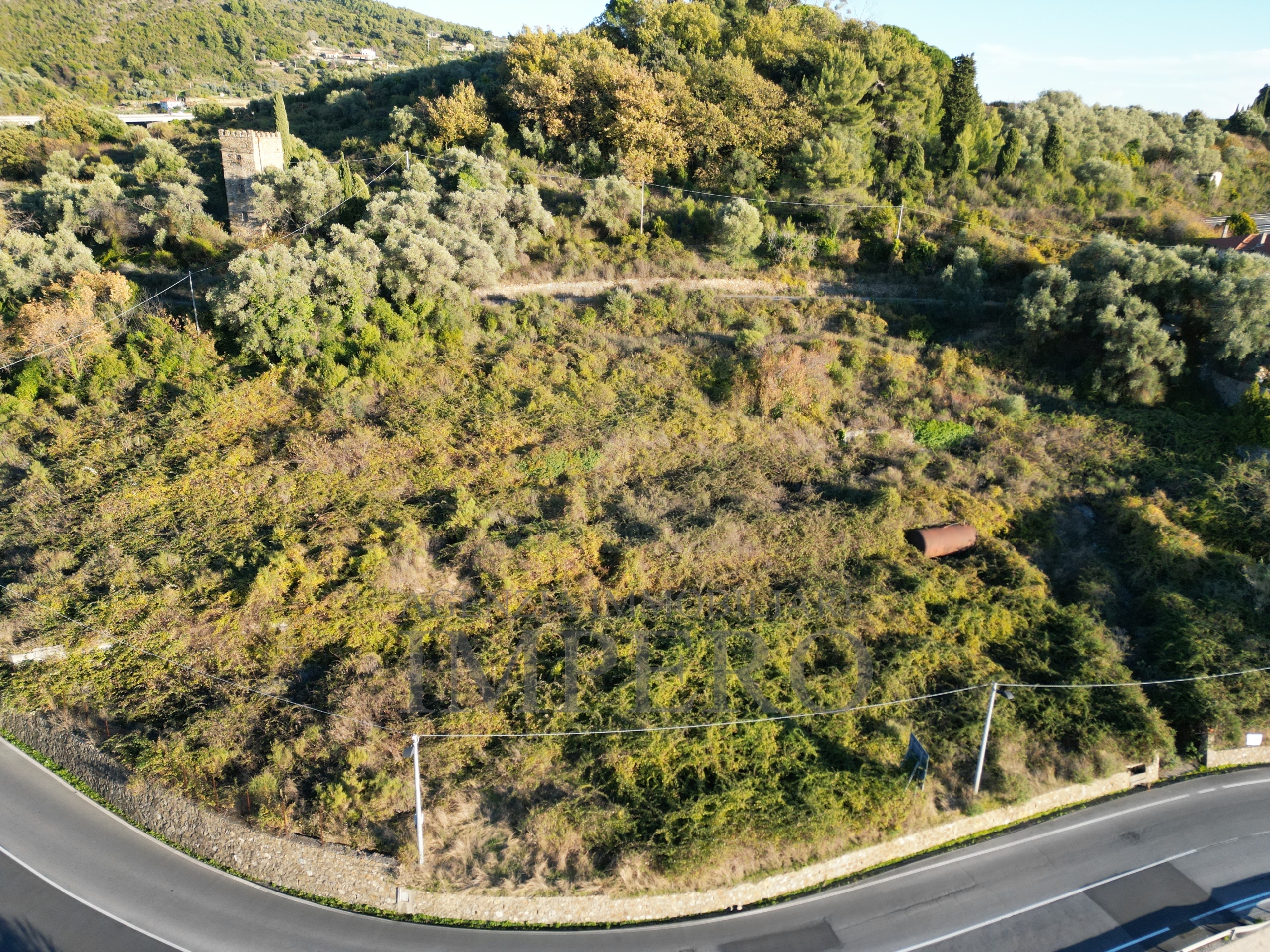 immagine annuncio 4 di 6