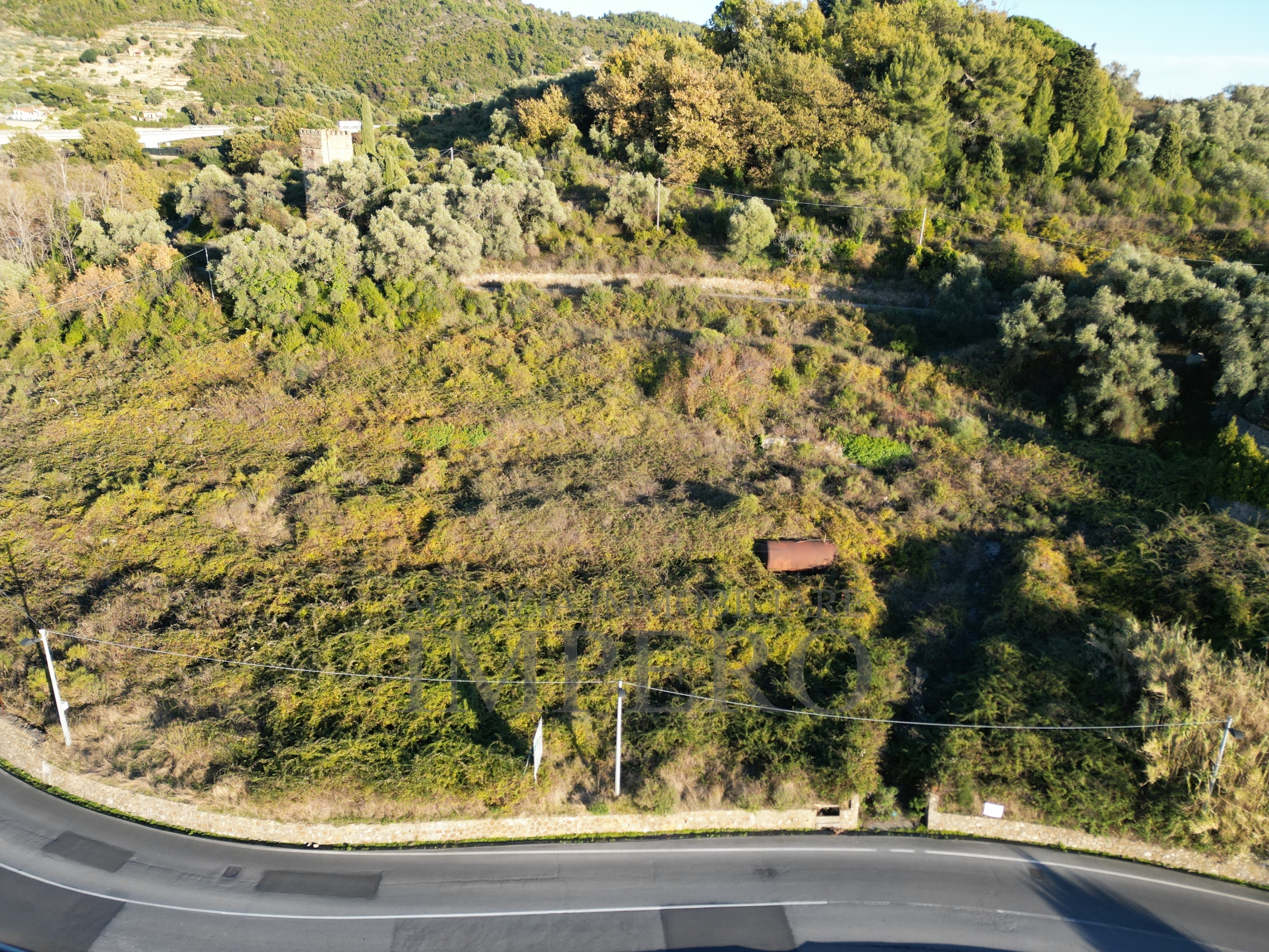 immagine annuncio 5 di 6