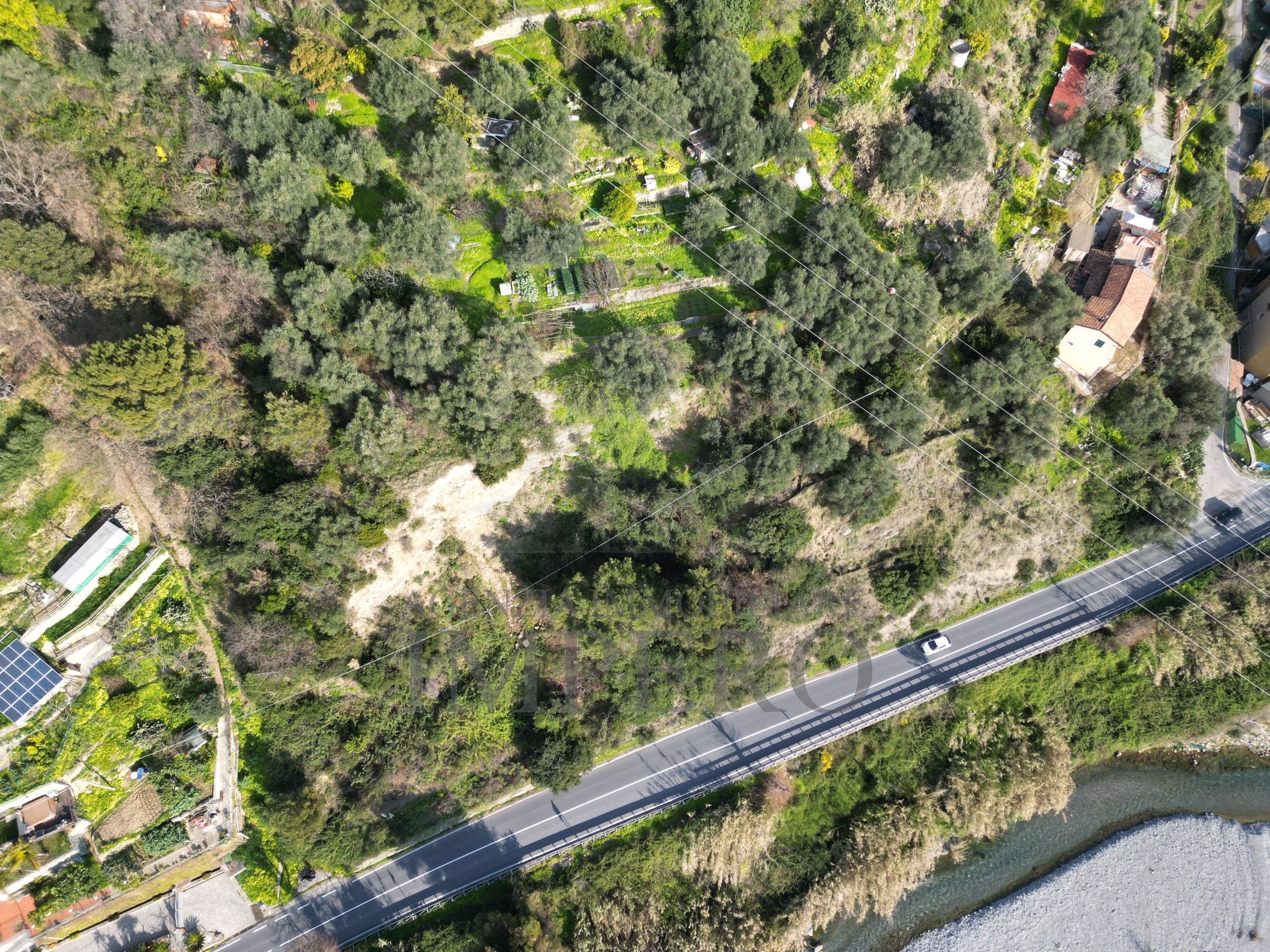 Terreno Agricolo in vendita in corso limone piemonte snc, Ventimiglia