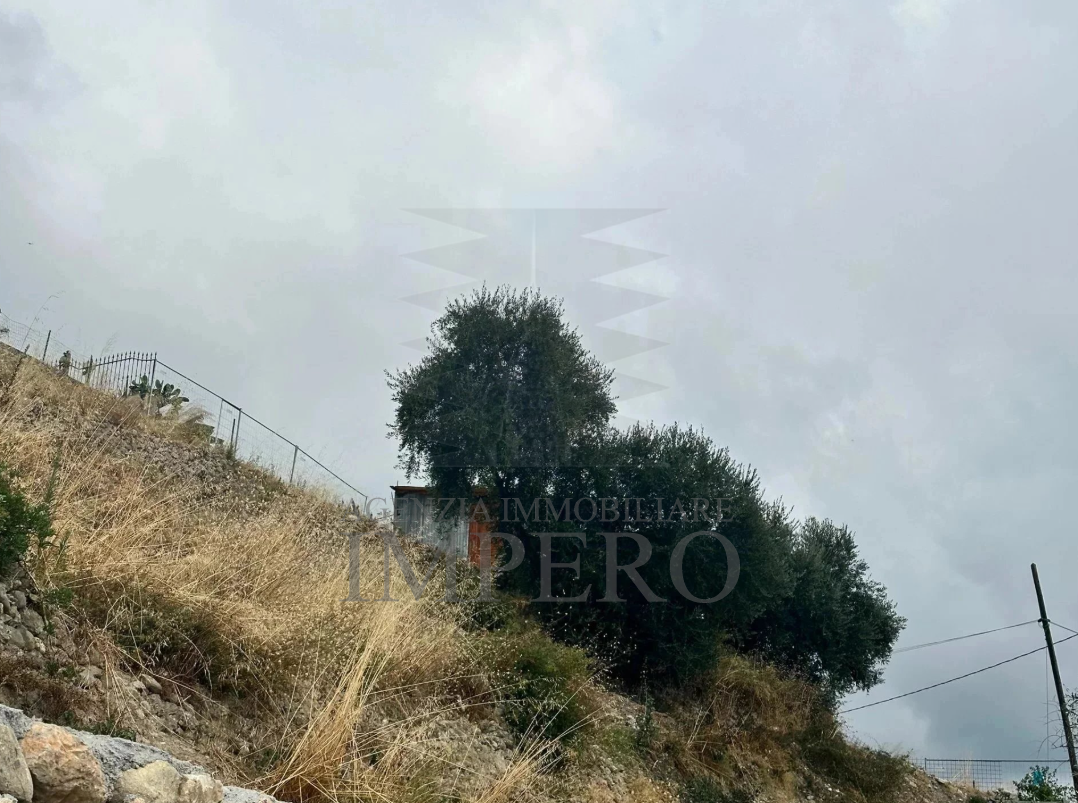 Terreno Agricolo in vendita in via monsignor nicol� peitavino, Ventimiglia