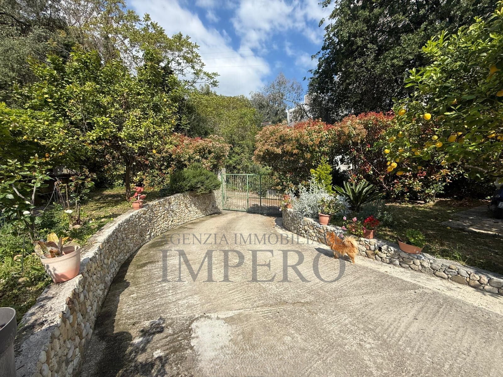Casa indipendente con giardino in via gallardi 75, Ventimiglia