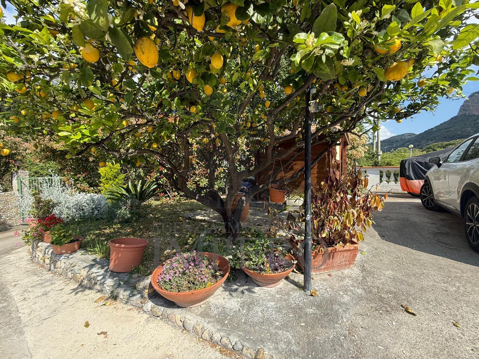 Casa indipendente con giardino in via gallardi 75, Ventimiglia