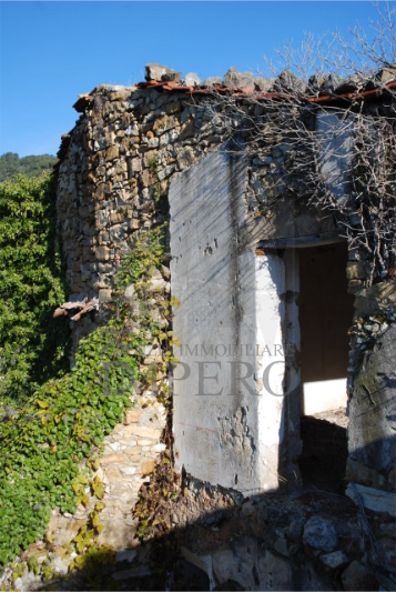 Terreno Agricolo vista mare in via case gina 13, Ventimiglia