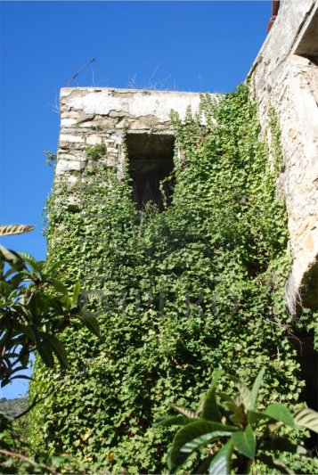 Terreno Agricolo vista mare in via case gina 13, Ventimiglia