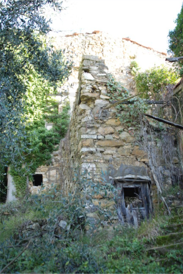 Terreno Agricolo vista mare in via case gina 13, Ventimiglia
