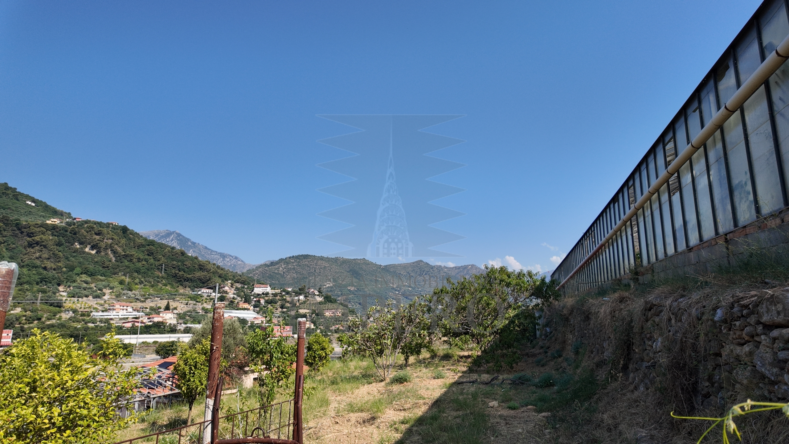 immagine annuncio 4 di 6