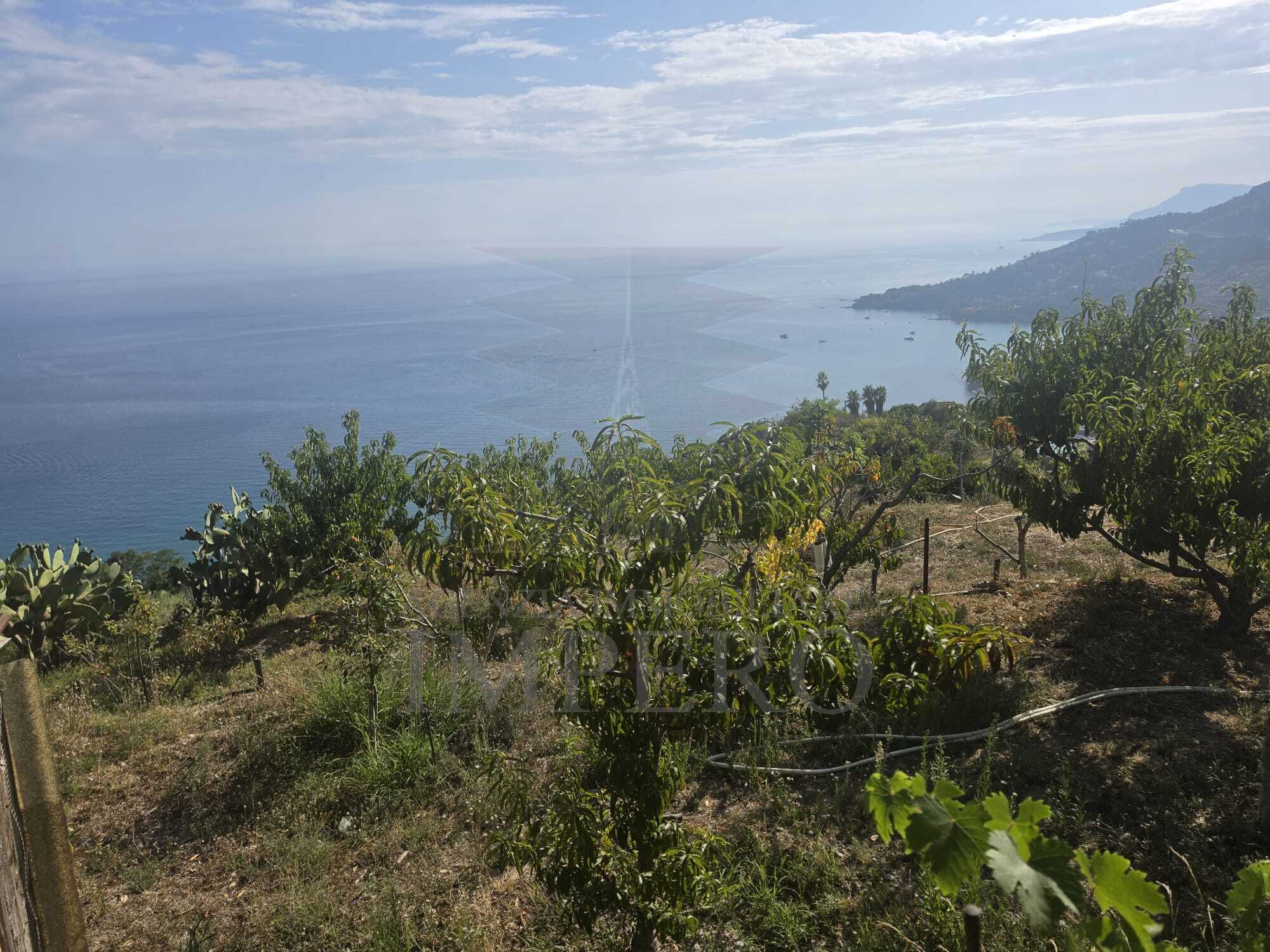 Terreno Agricolo vista mare in localit� ville superiori 30, Ventimiglia