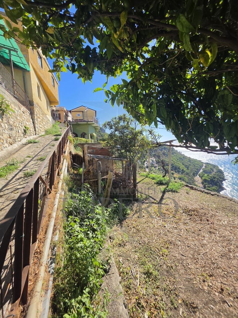 Terreno Agricolo vista mare in piazza angeli custodi 3, Ventimiglia