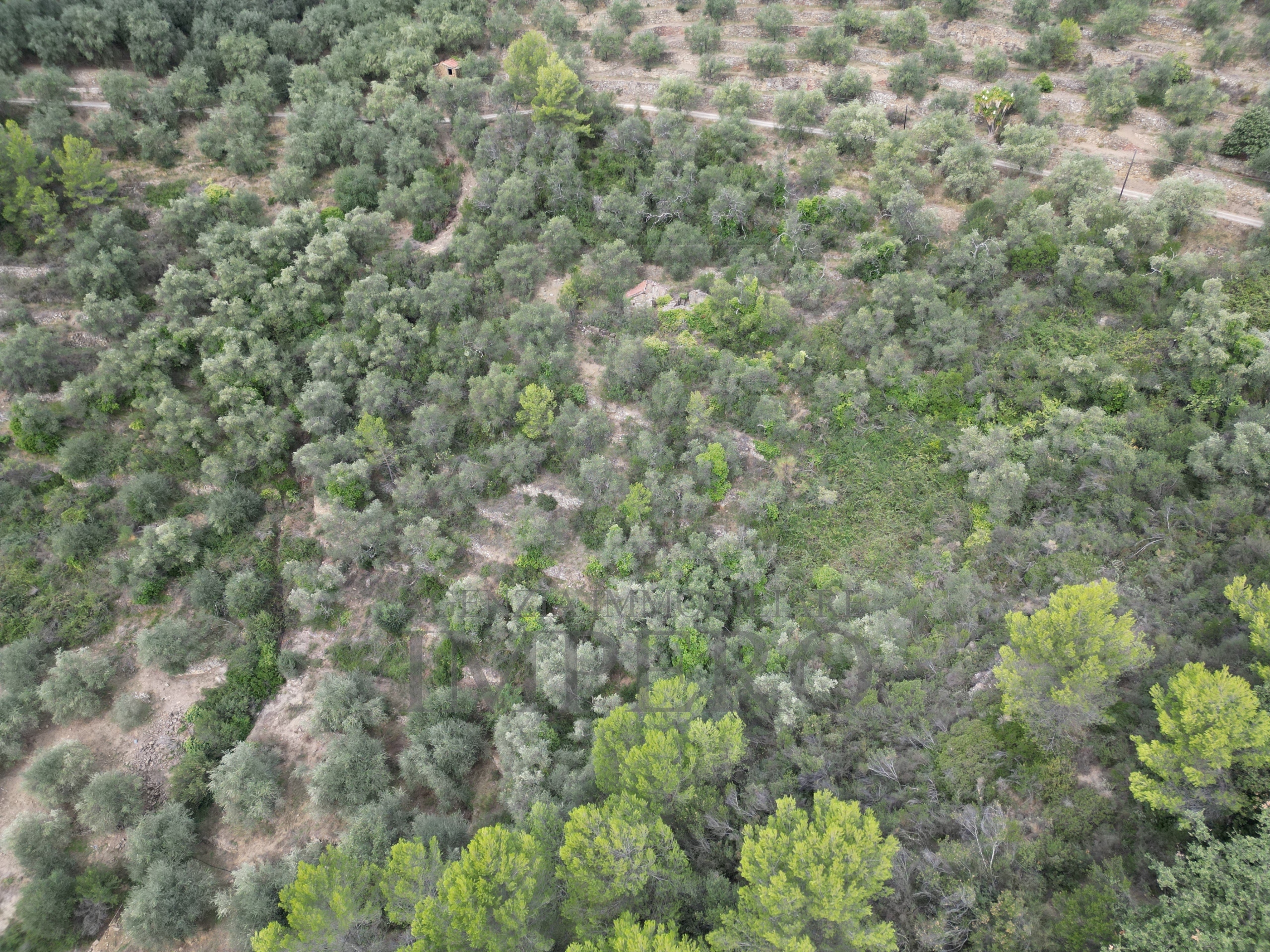 Terreno Agricolo da ristrutturare in strada vicinale san gregorio, Dolceacqua