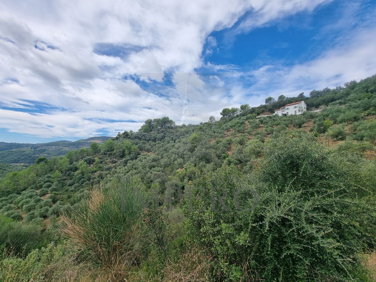 Terreno Agricolo da ristrutturare in strada vicinale san gregorio, Dolceacqua
