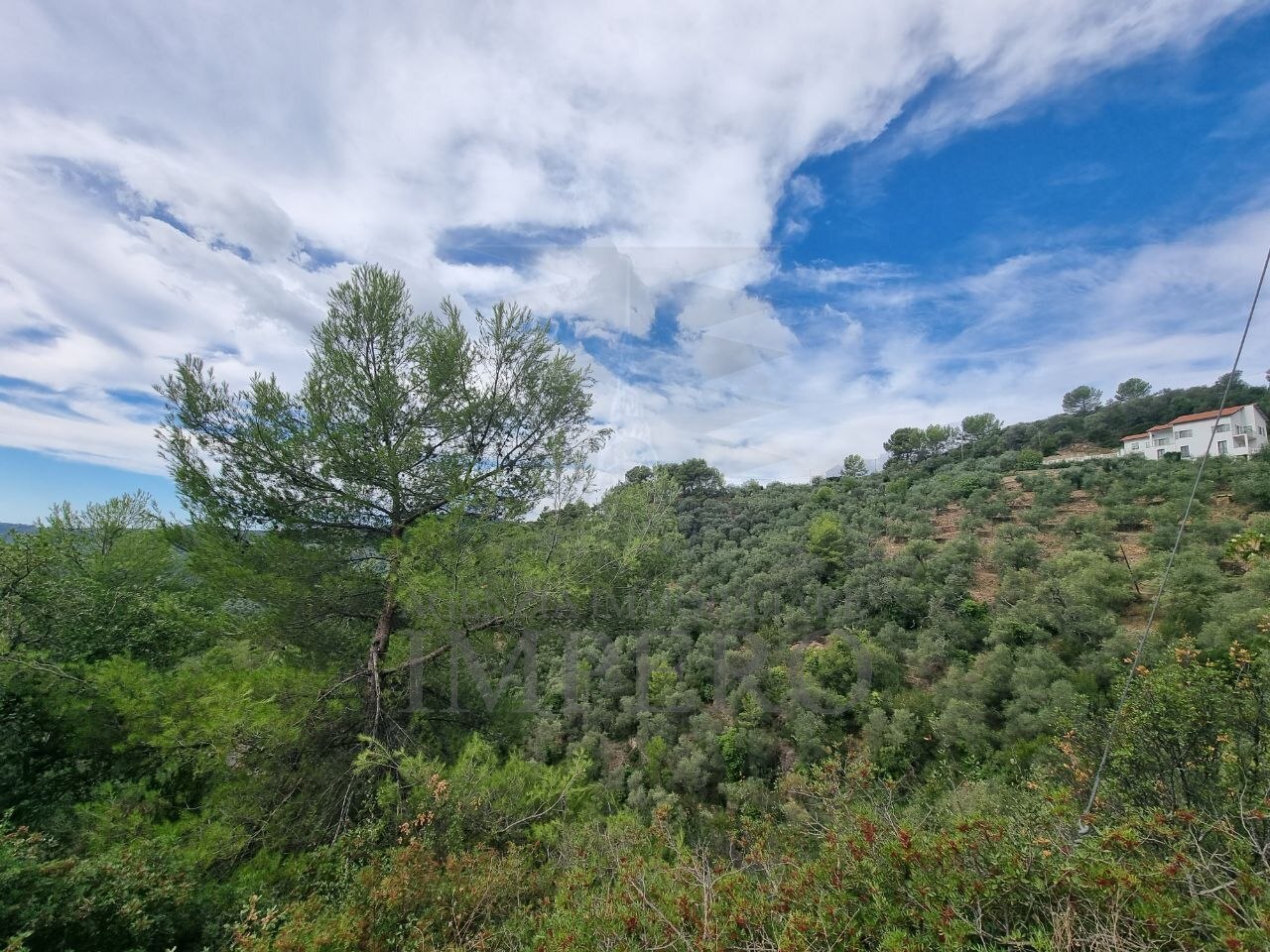 Terreno Agricolo da ristrutturare in strada vicinale san gregorio, Dolceacqua