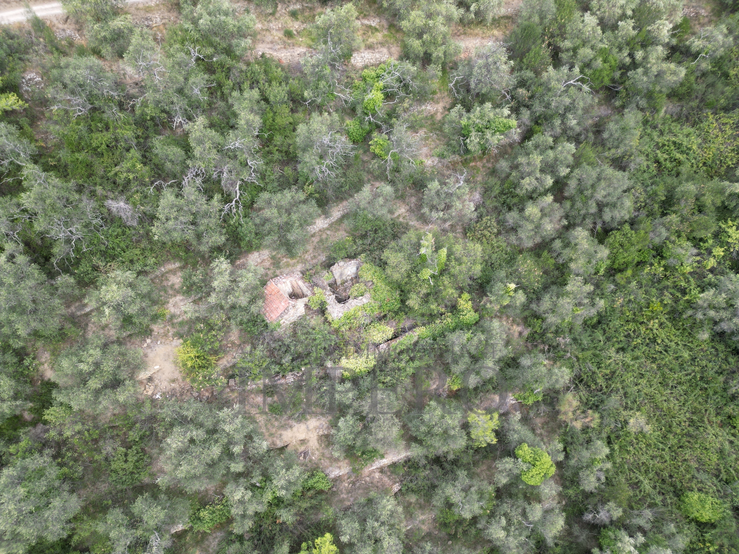 Terreno Agricolo da ristrutturare in strada vicinale san gregorio, Dolceacqua