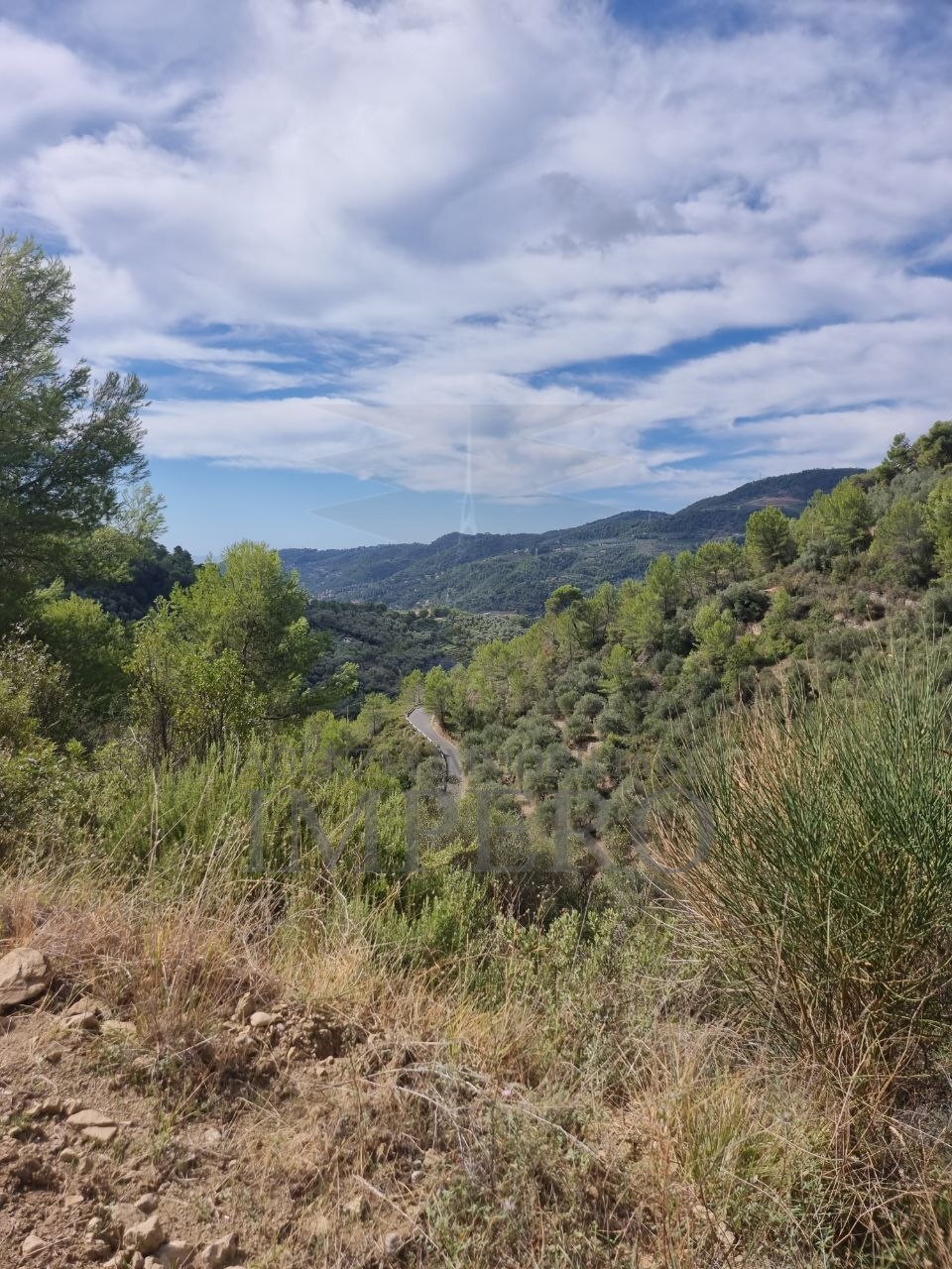 Terreno Agricolo da ristrutturare in strada vicinale san gregorio, Dolceacqua