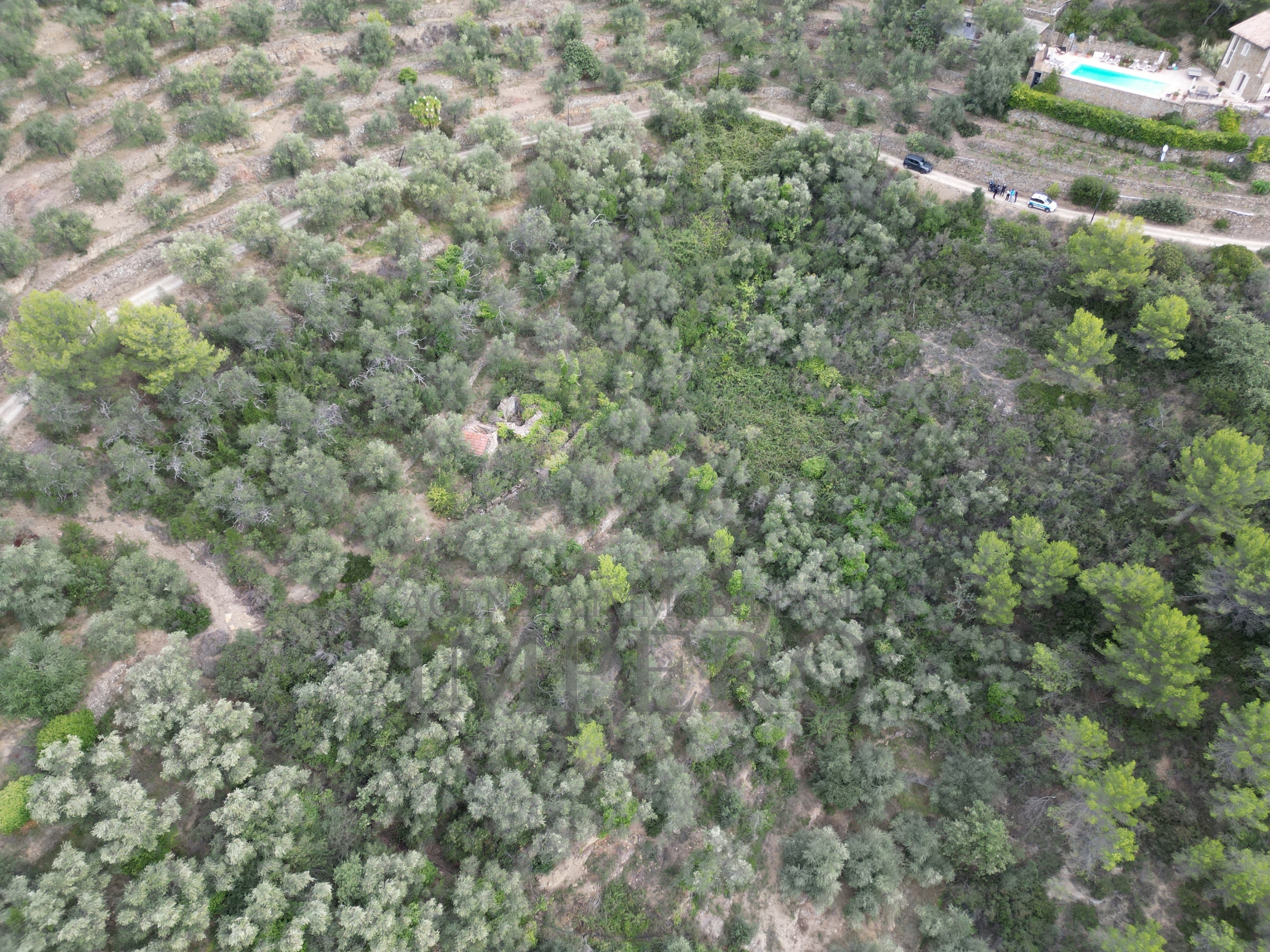 Terreno Agricolo da ristrutturare in strada vicinale san gregorio, Dolceacqua
