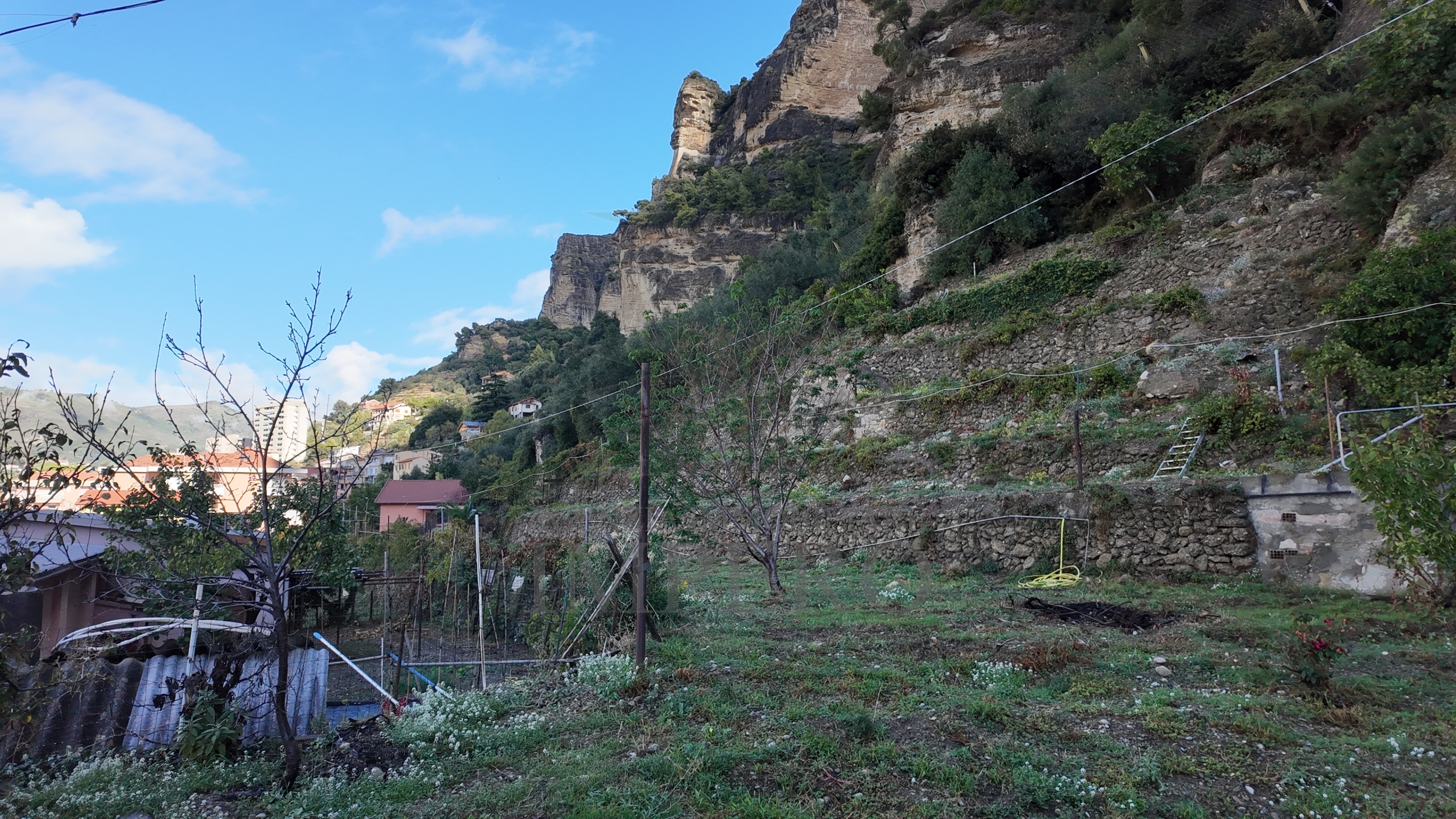 Terreno Agricolo in vendita in corso limone piemonte, Ventimiglia