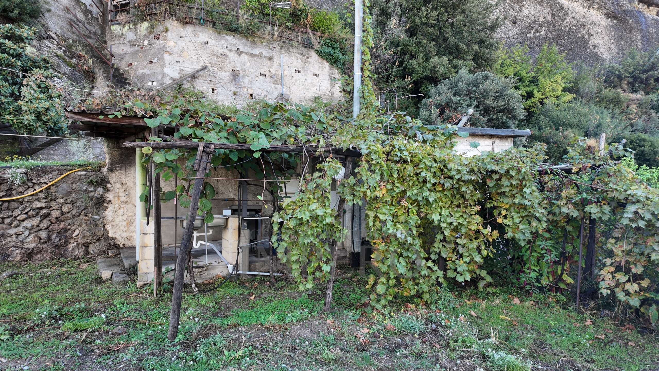 Terreno Agricolo in vendita in corso limone piemonte, Ventimiglia