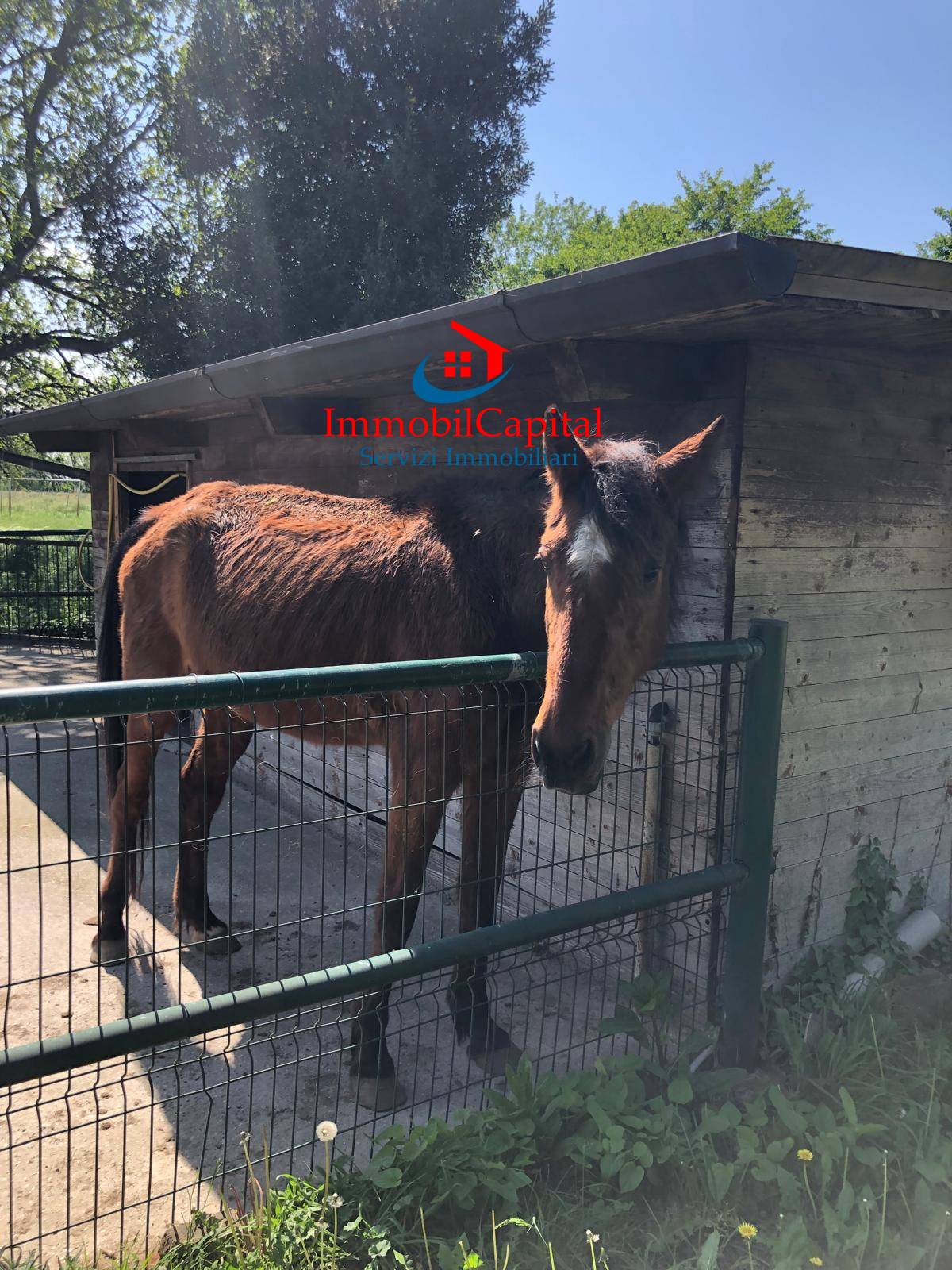 Rustico in vendita a Soresina