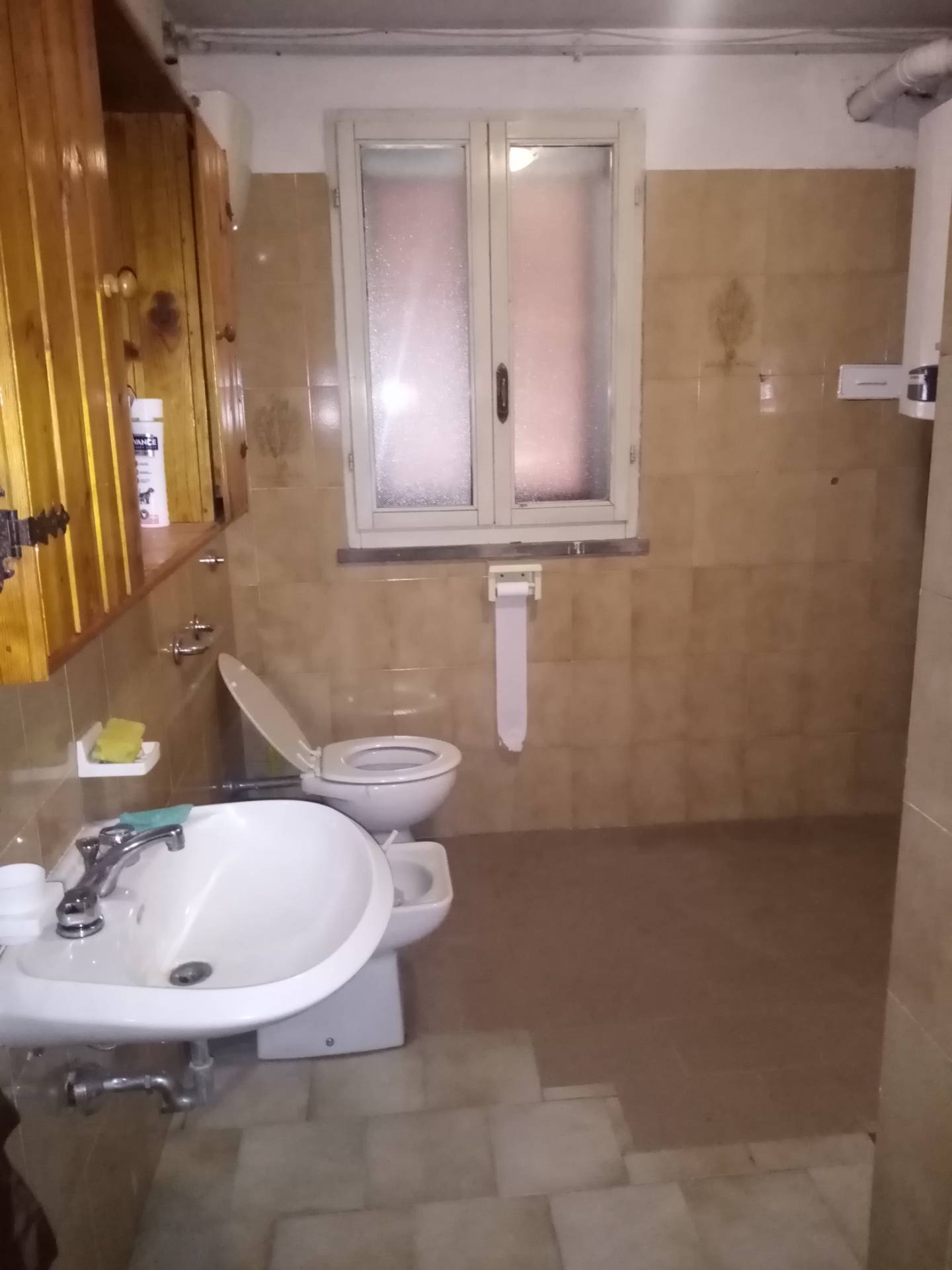 Appartamento in affitto a Bagnacavallo