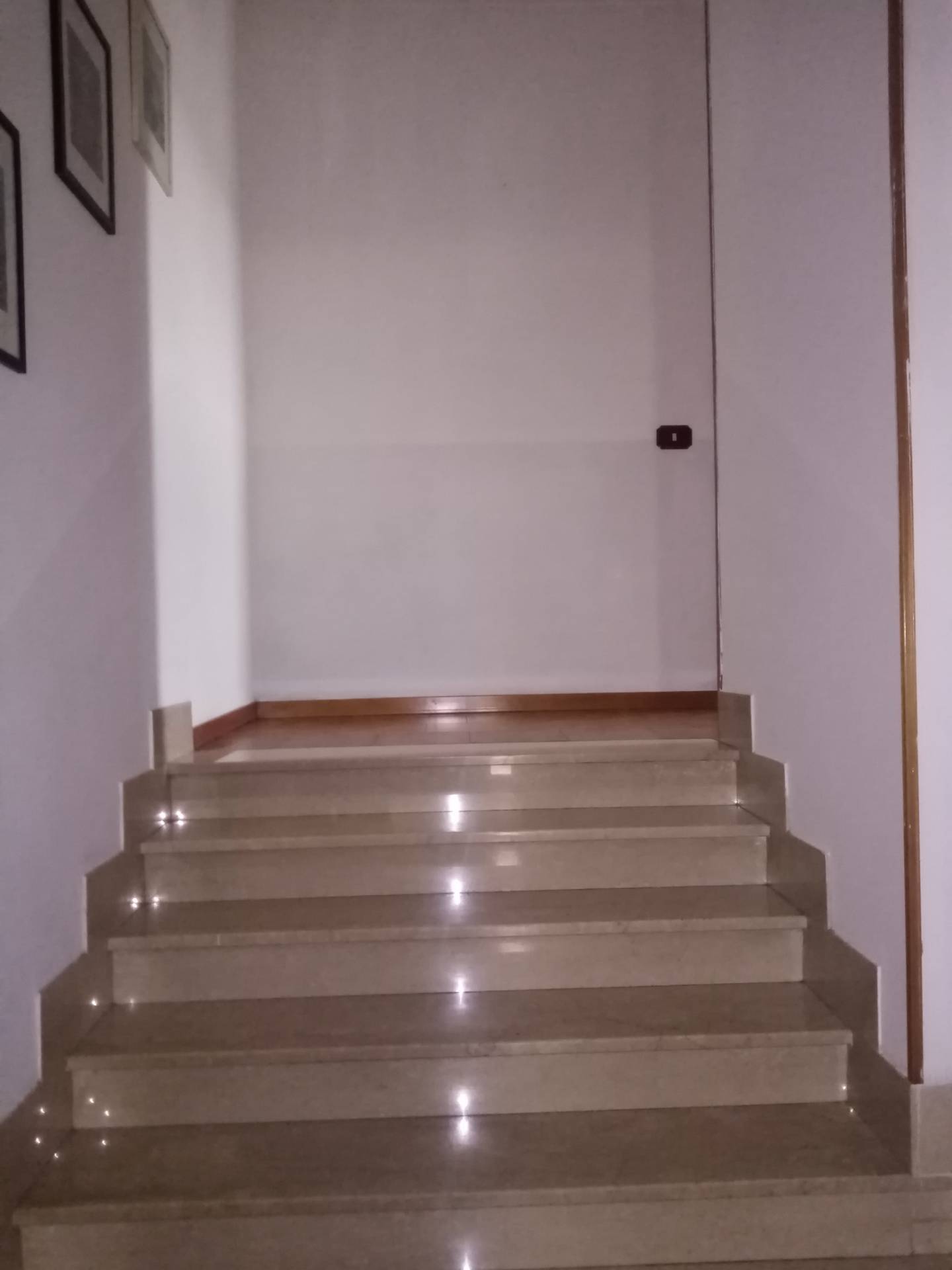 Appartamento in affitto a Bagnacavallo