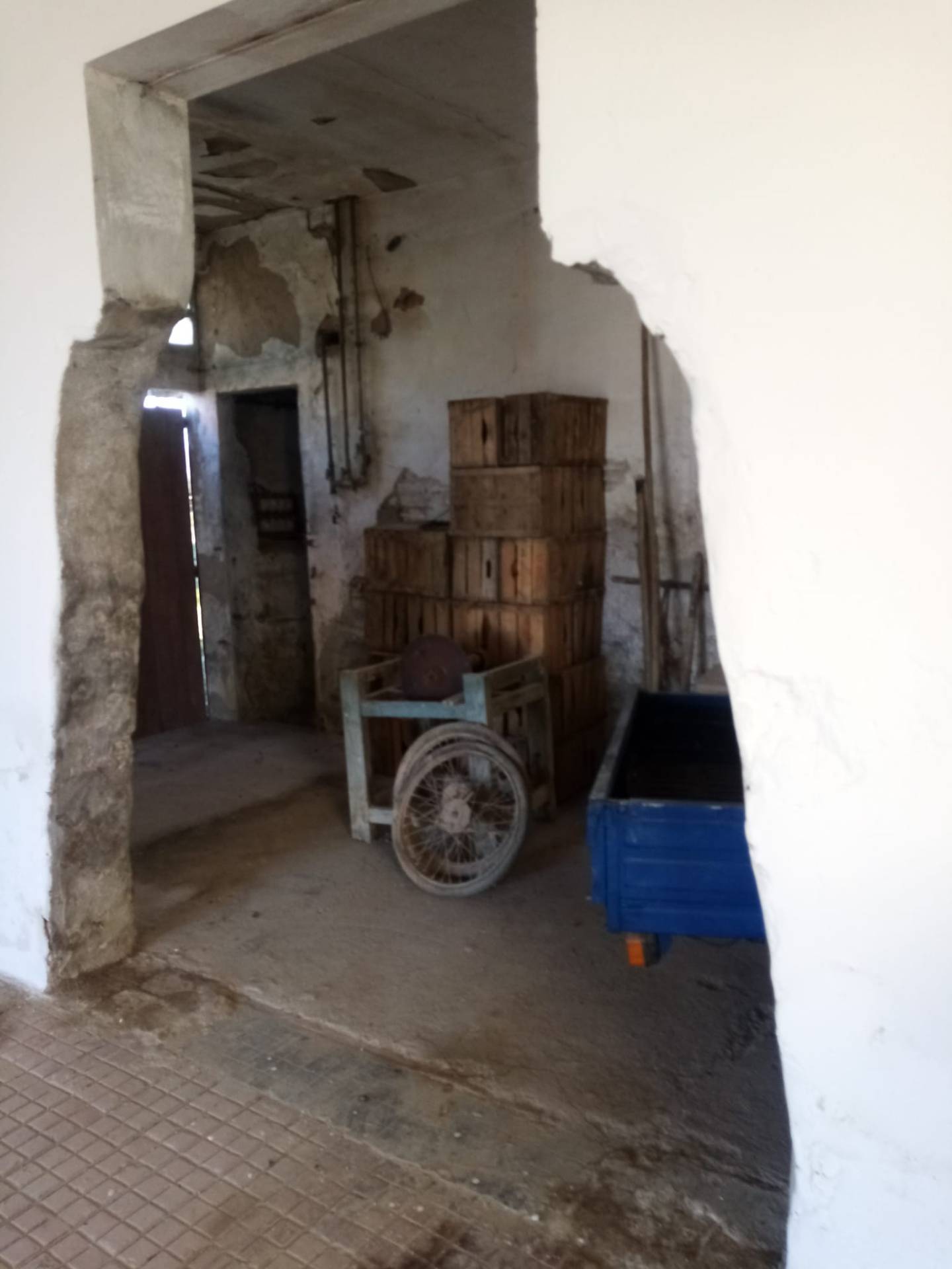 Deposito in affitto a Conselice, Conselice