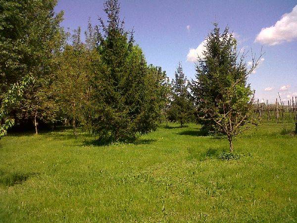 Rustico in vendita a Lugo