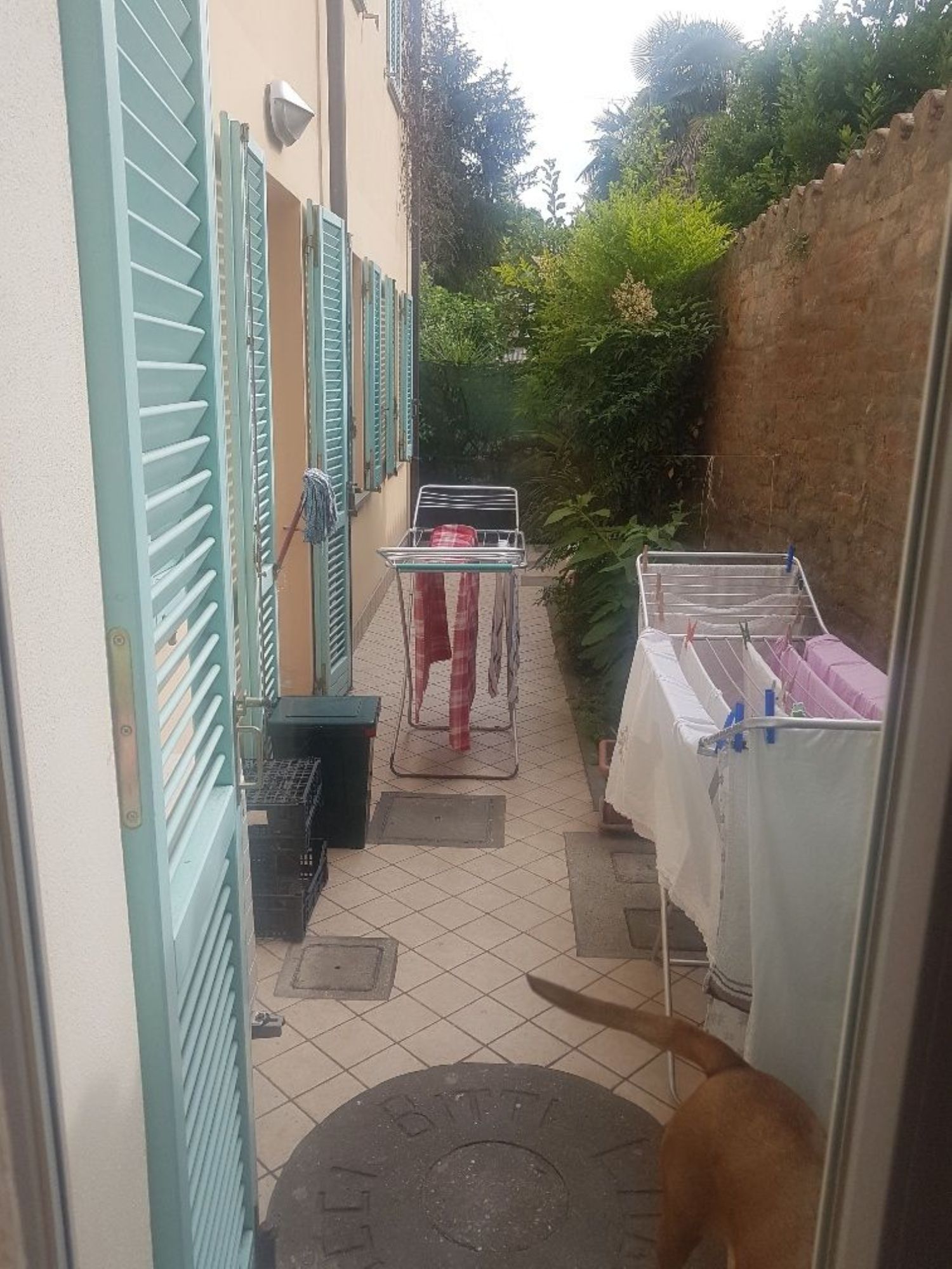 Appartamento in affitto a Lugo