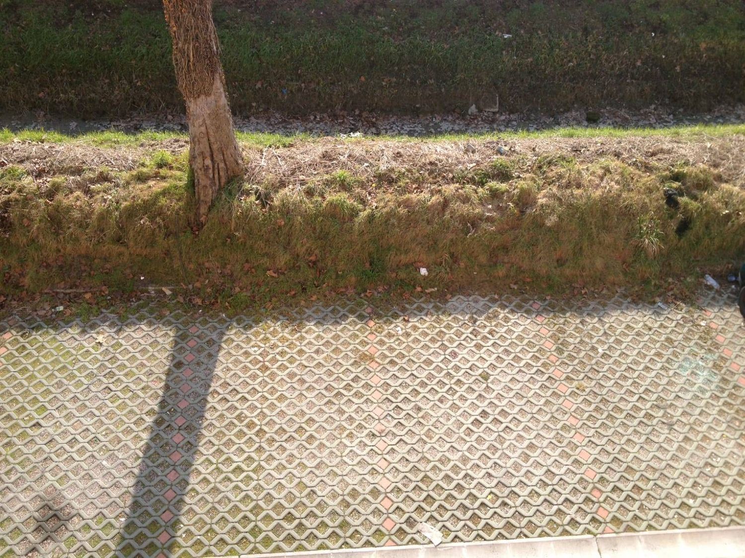 Appartamento in affitto a Massa Lombarda