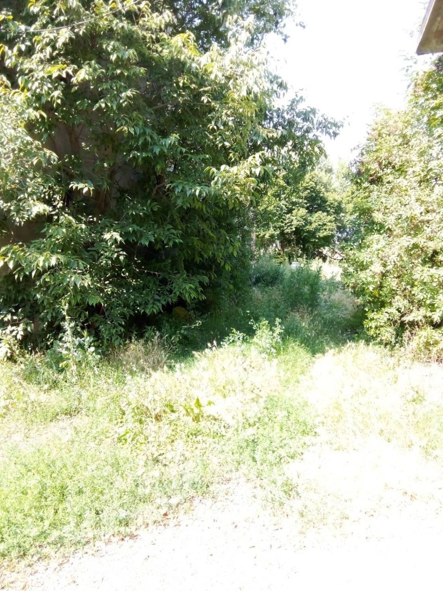 Casa singola in vendita a Lugo