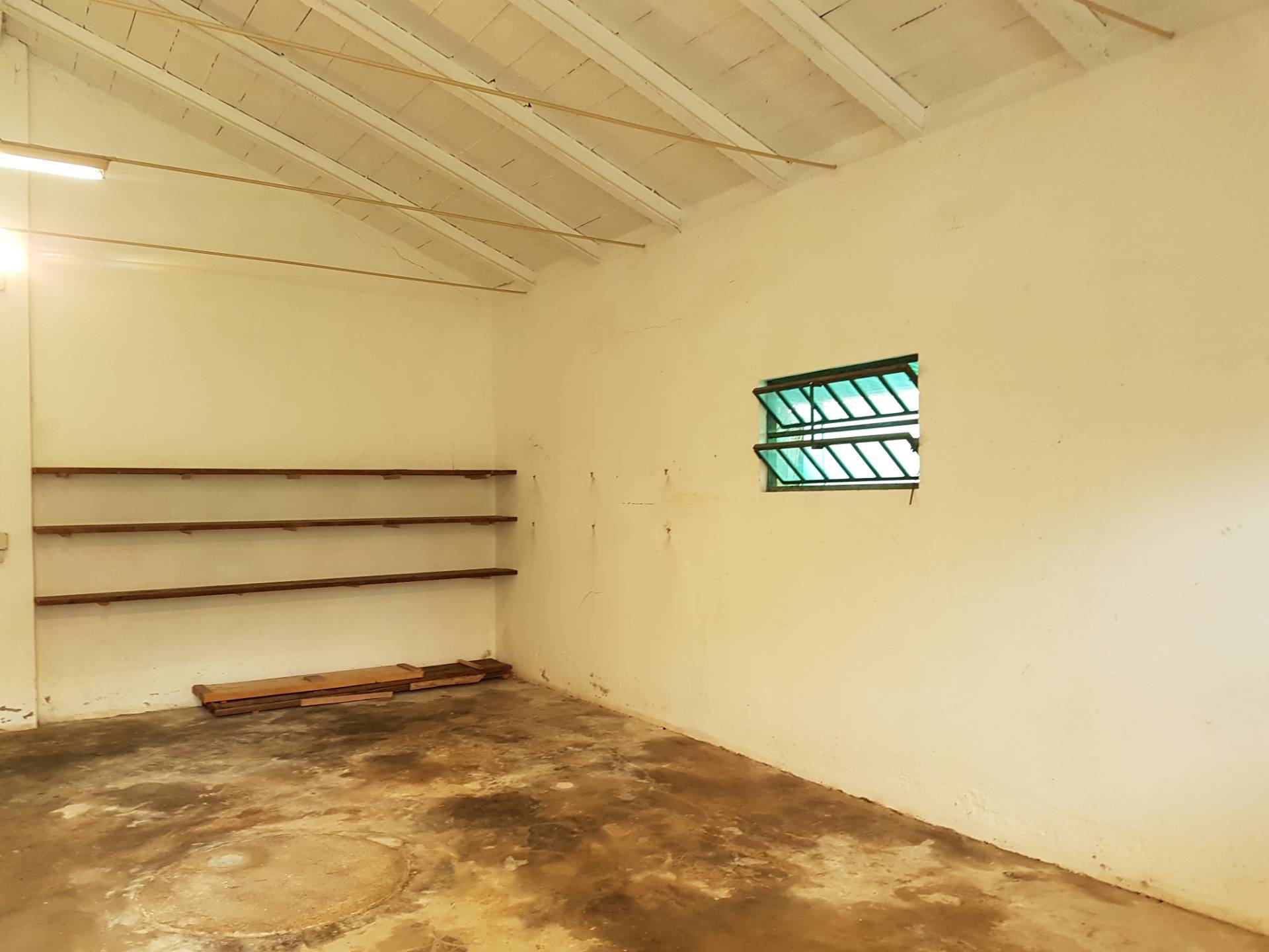 Capannone in affitto a Lugo