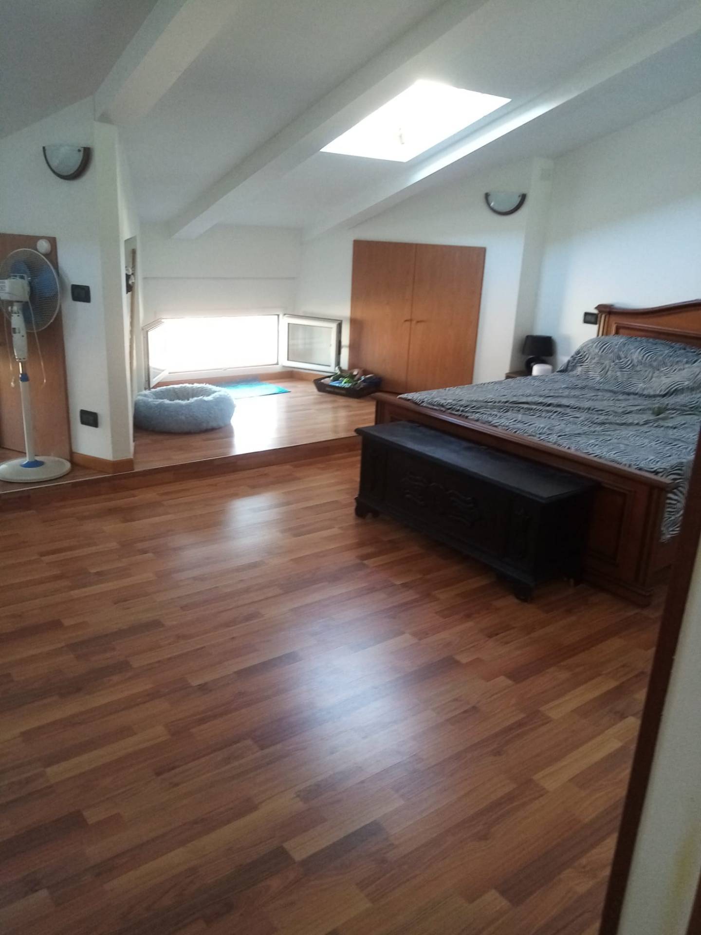 Mansarda in affitto a Cotignola