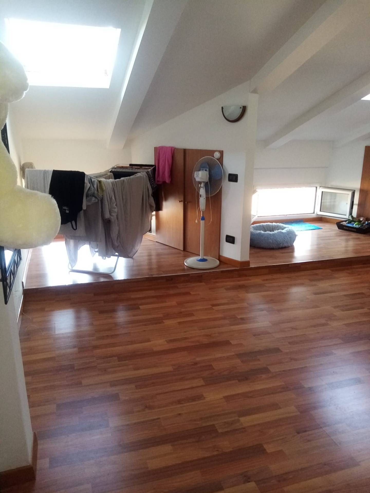 Mansarda in affitto a Cotignola