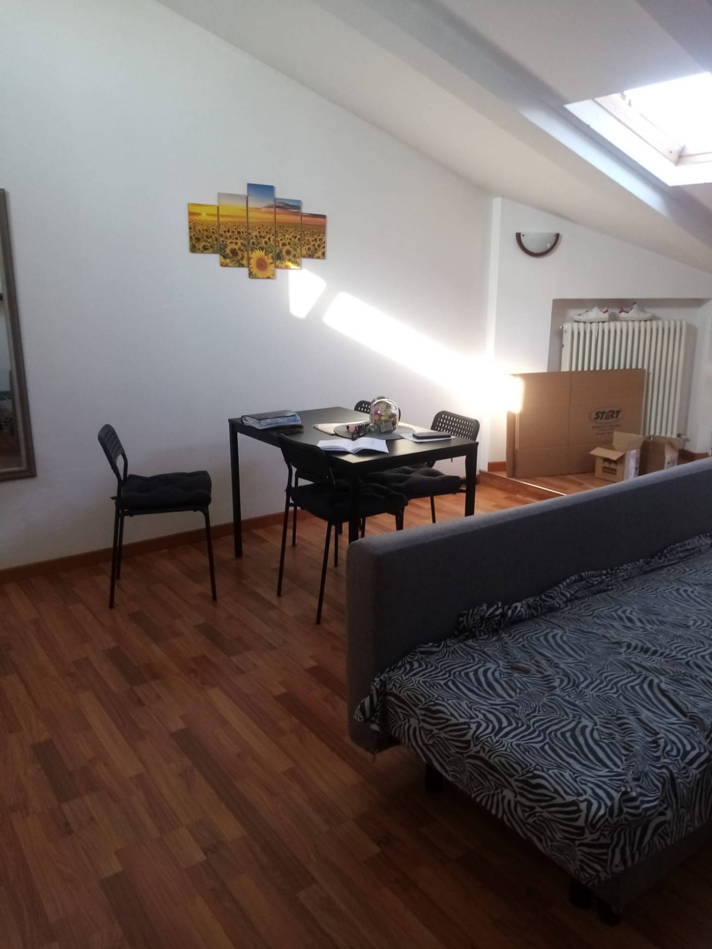 Mansarda in affitto a Cotignola