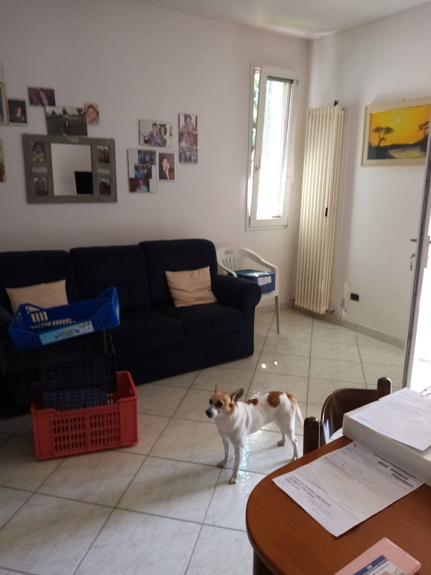 Villetta bifamiliare in affitto a Sant'Agata sul Santerno