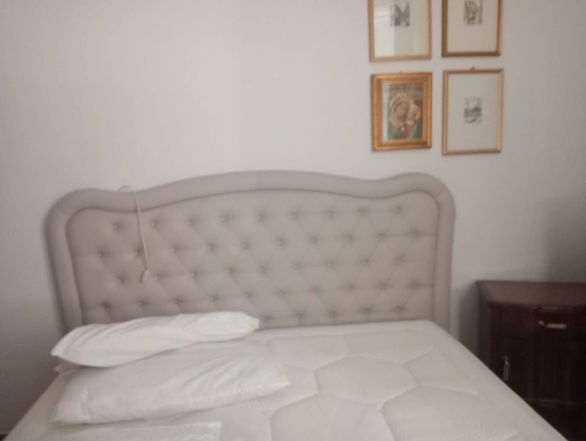 Appartamento in affitto a Bagnacavallo