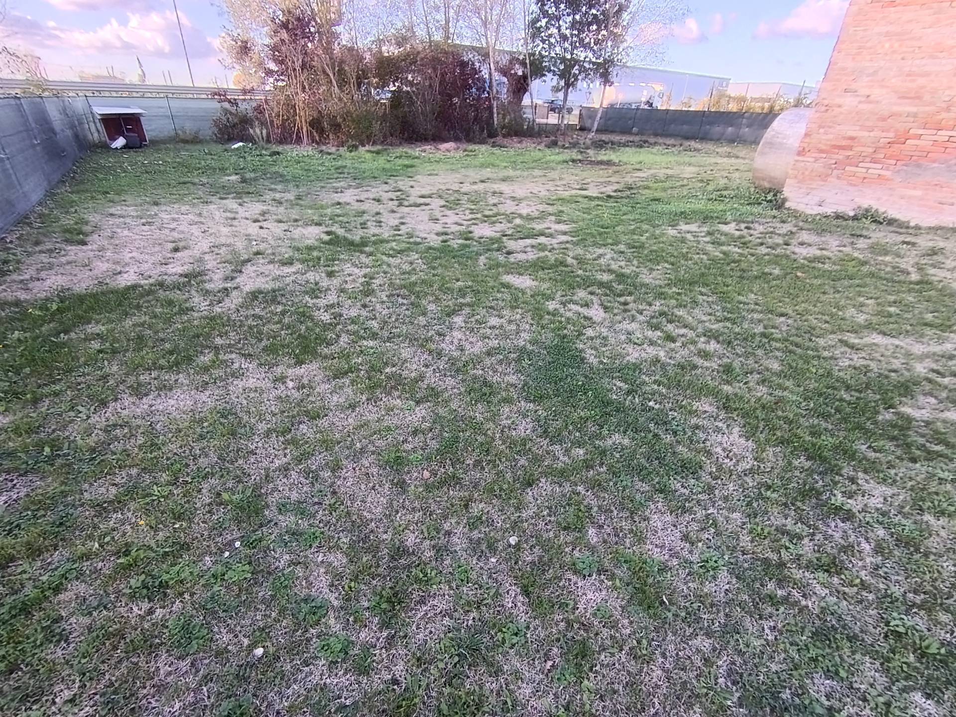 Casa singola in vendita a Cotignola