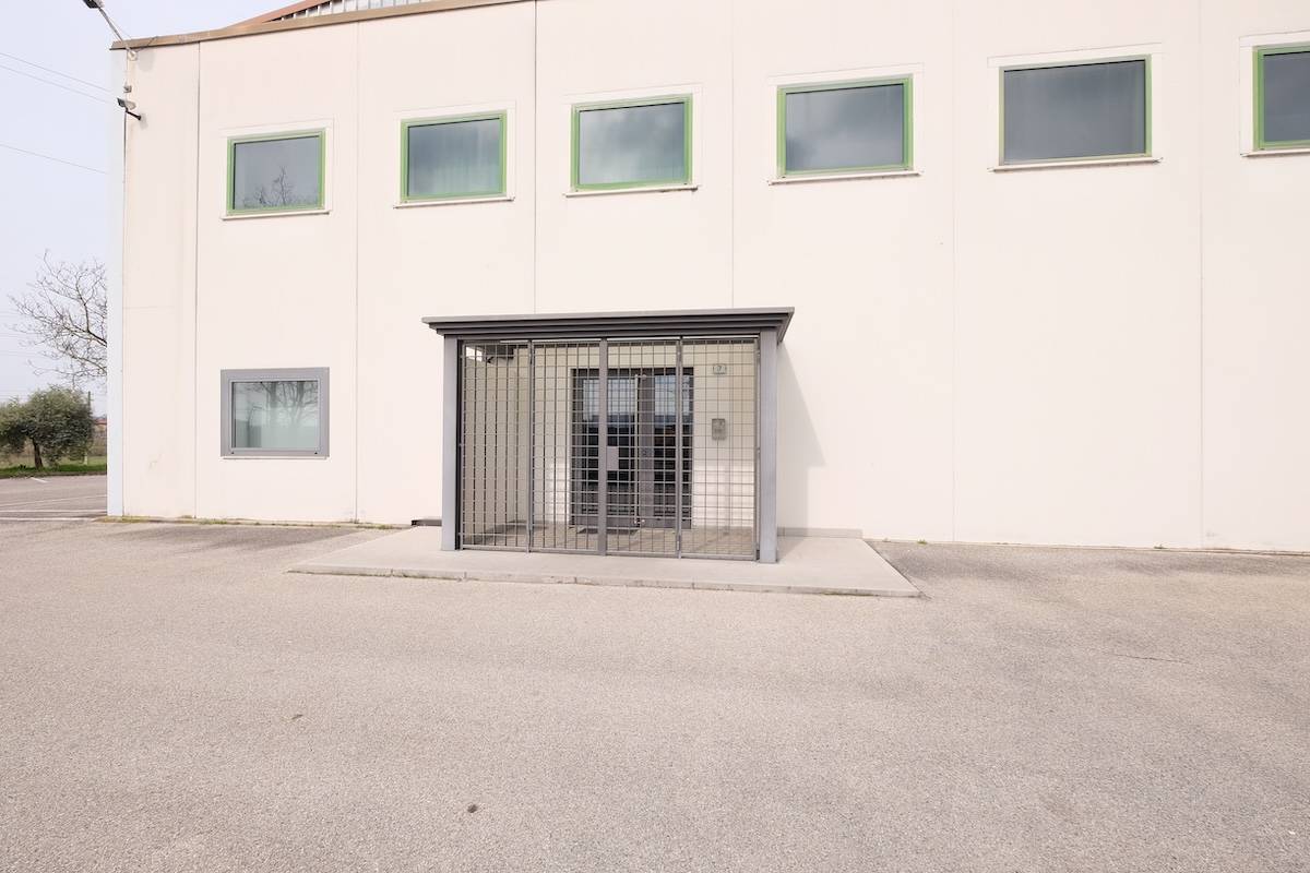 immagine annuncio 2 di 6