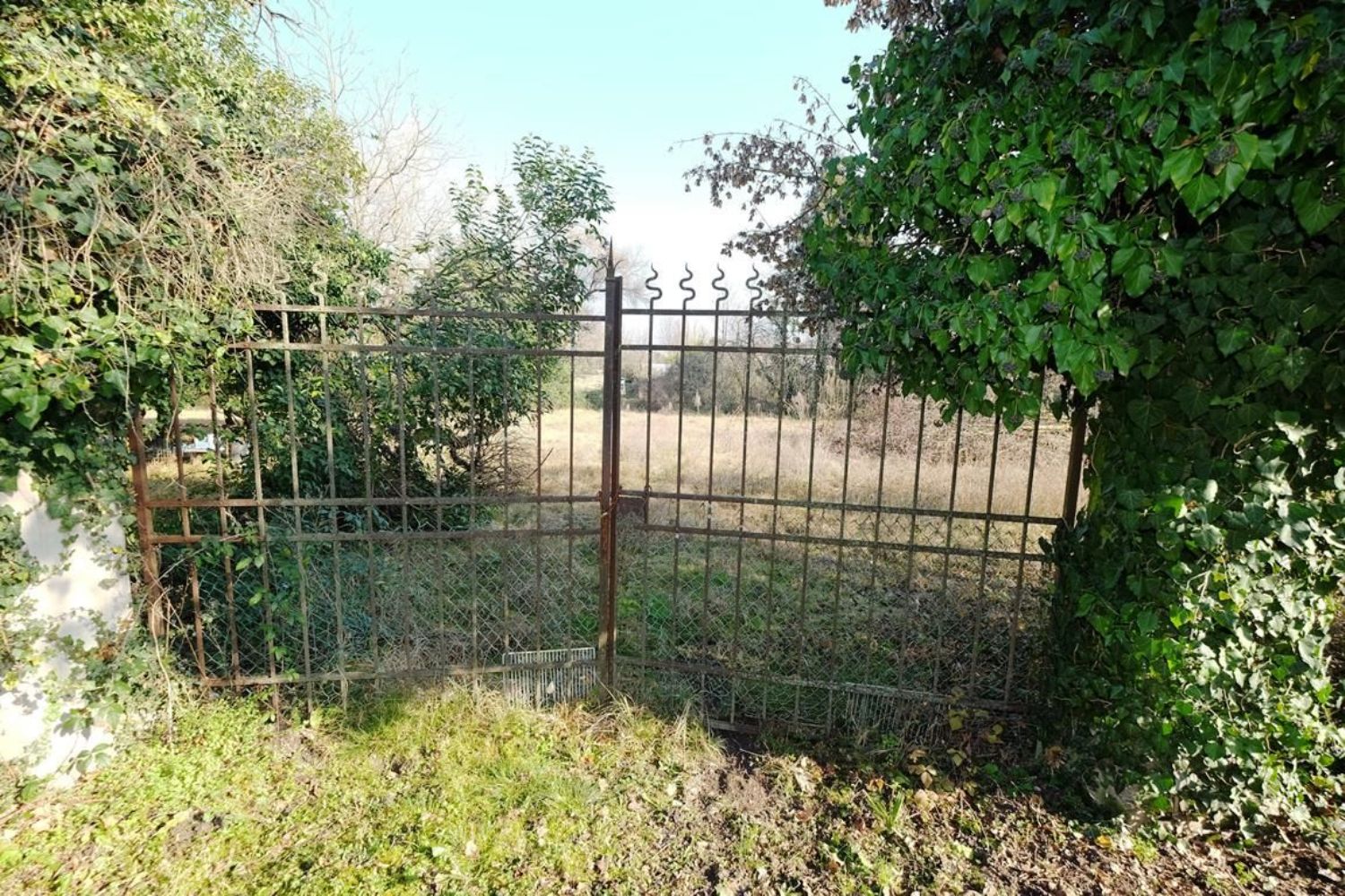 immagine annuncio 2 di 6