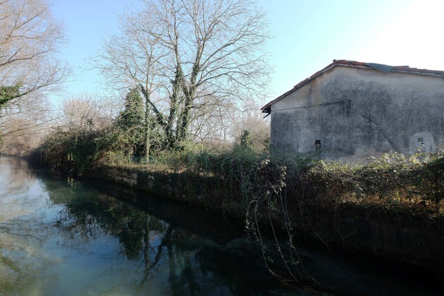 immagine annuncio 4 di 6
