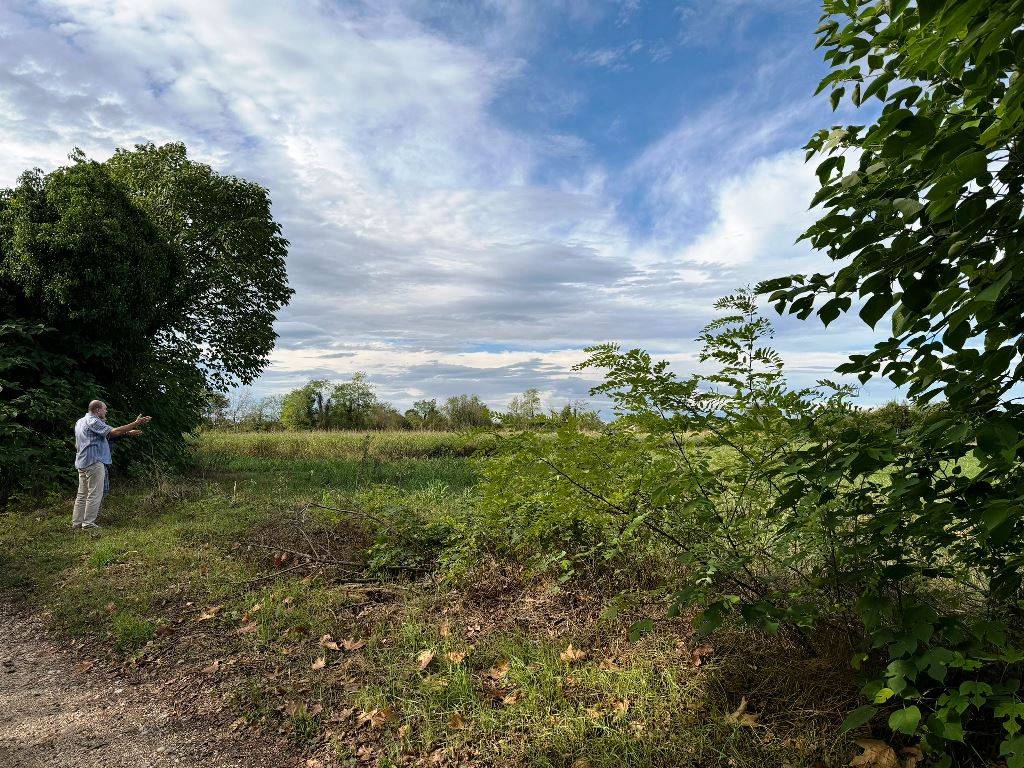 Terreno Agricolo in vendita a Pordenone, Torre