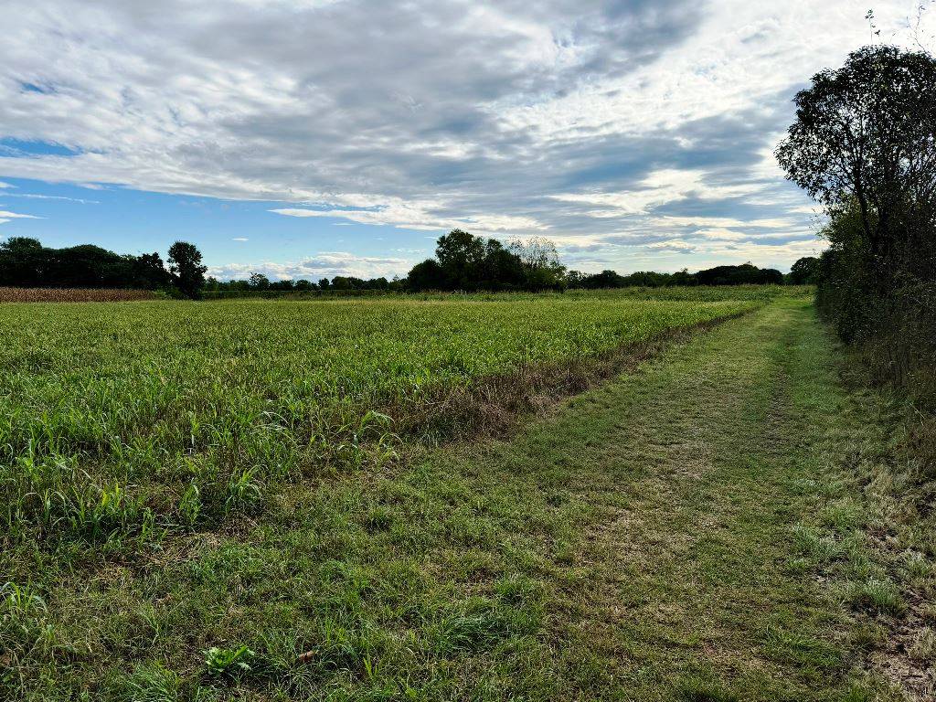 Terreno Agricolo in vendita a Pordenone, Torre